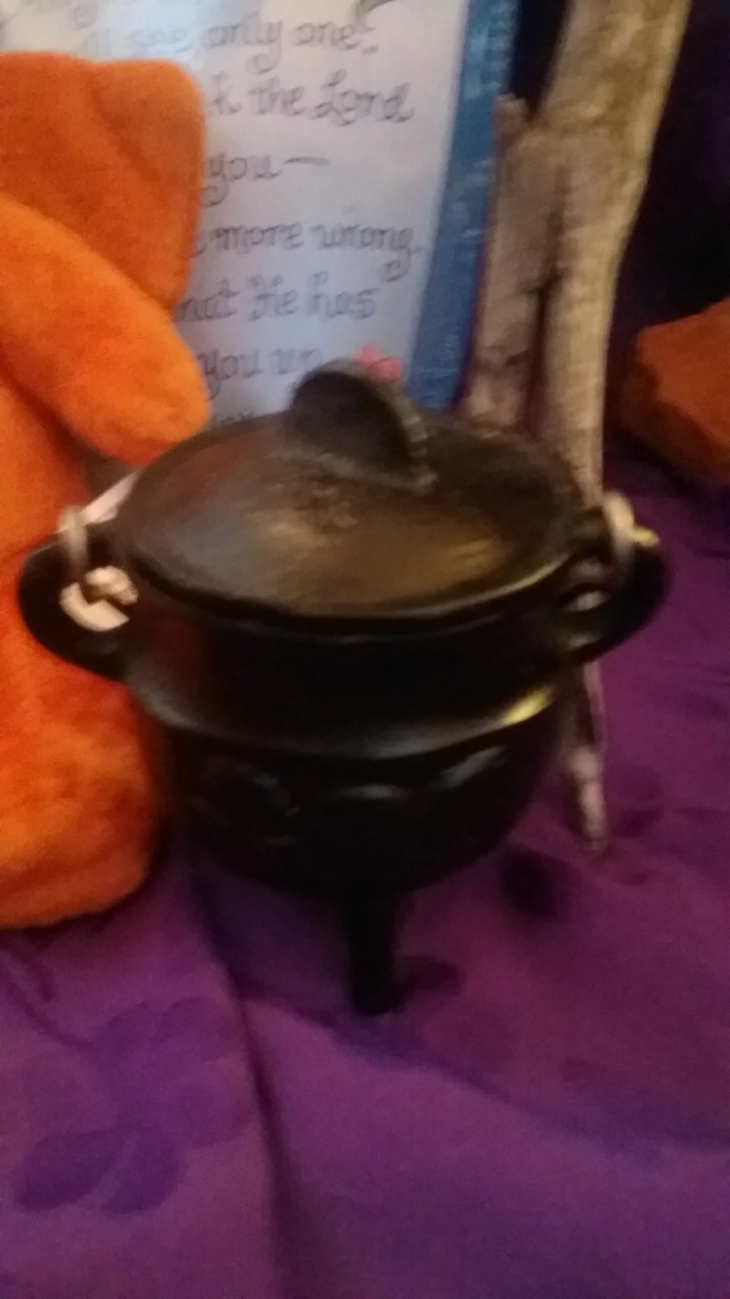 20161204_110226.jpg