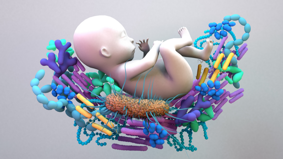 How to Support Your Baby’s Microbiome