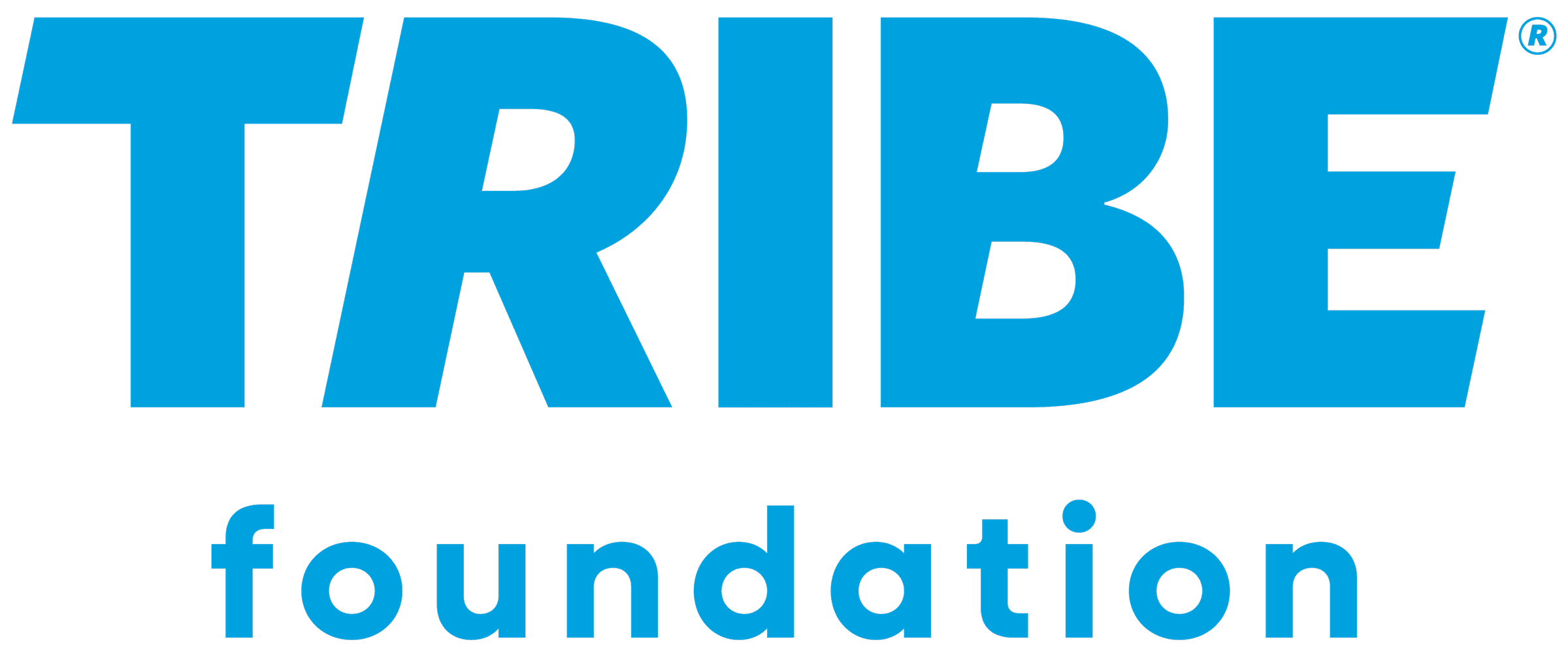 Tribe Foundation