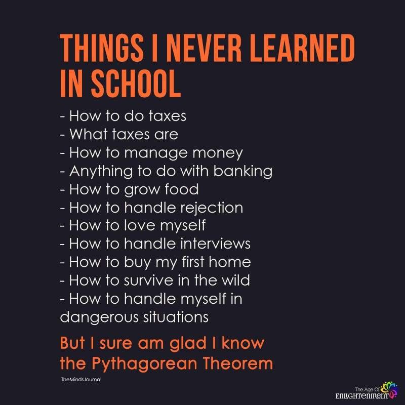 Things-I-Never-Learned-In-School.jpg