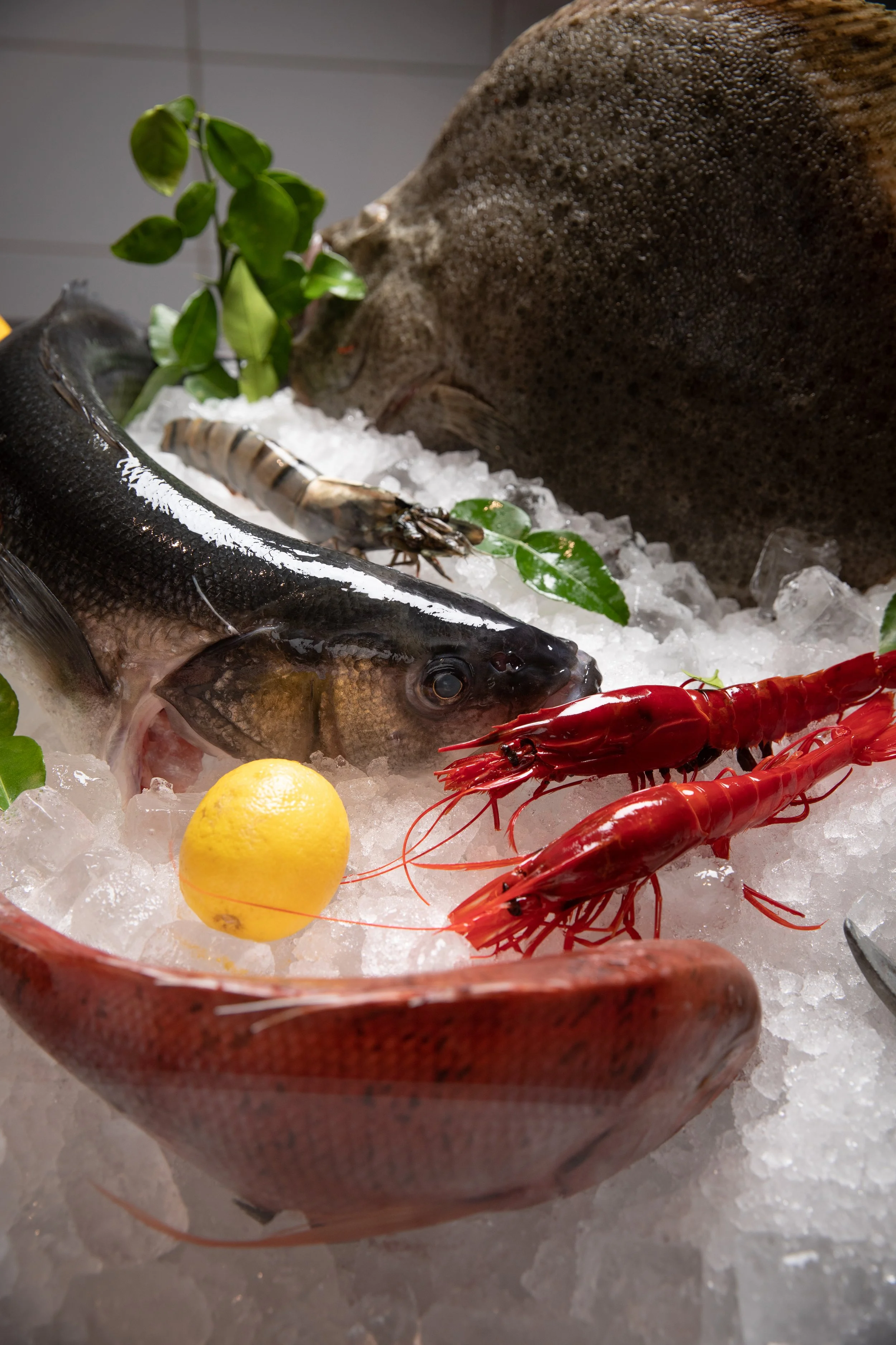 Fresh seafood display with a fish in a bowl of ice, surrounded by shrimp, a lemon, crab, and green leaves.