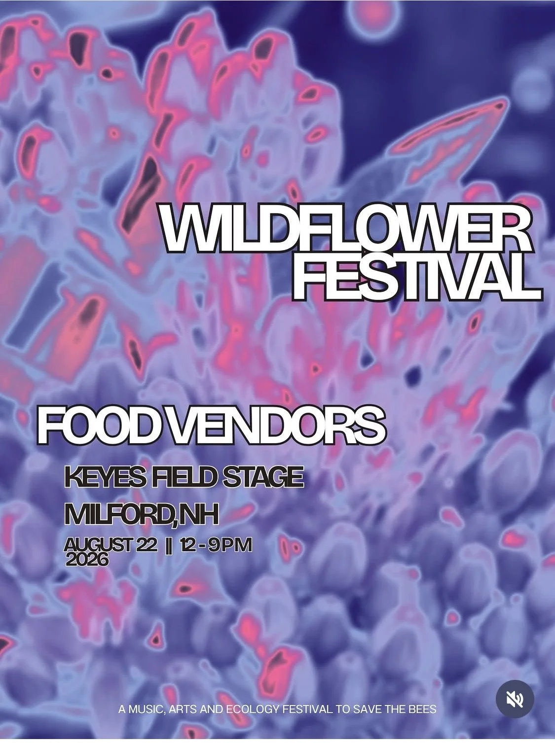 Wildflower festival 