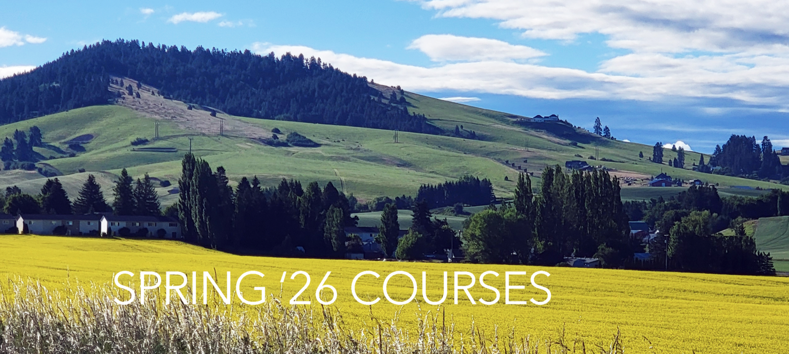 Timeless &amp; Timely Spring Classes