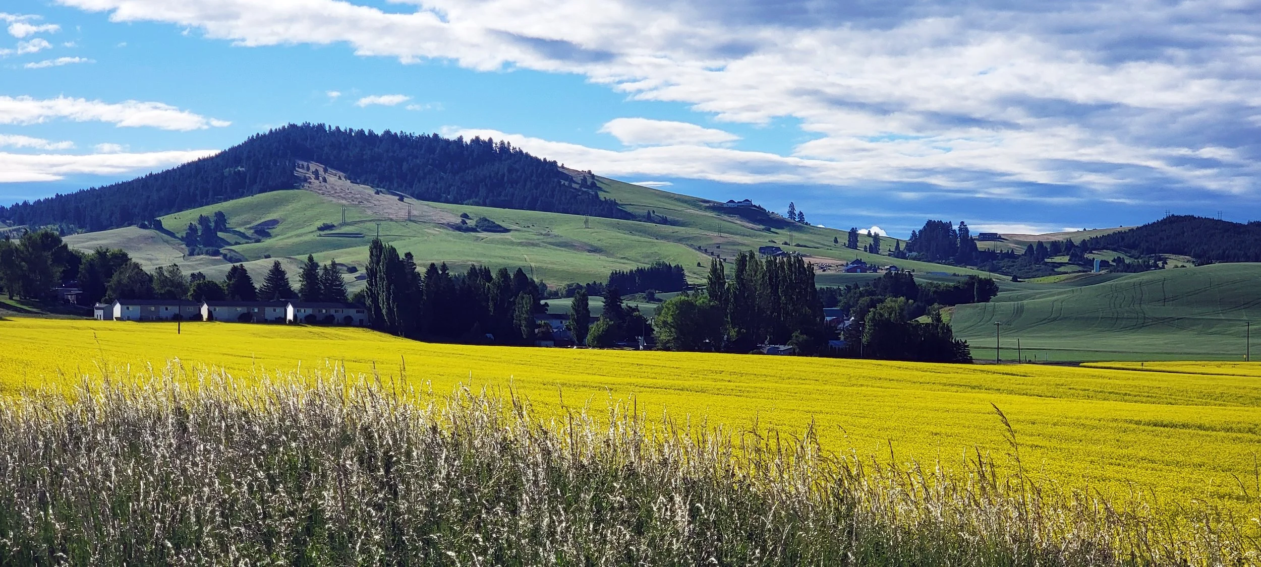 Timeless &amp; Timely Spring Classes