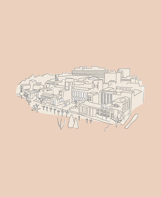 UChicago | Creative Direction, Digital Strategy, Illustration