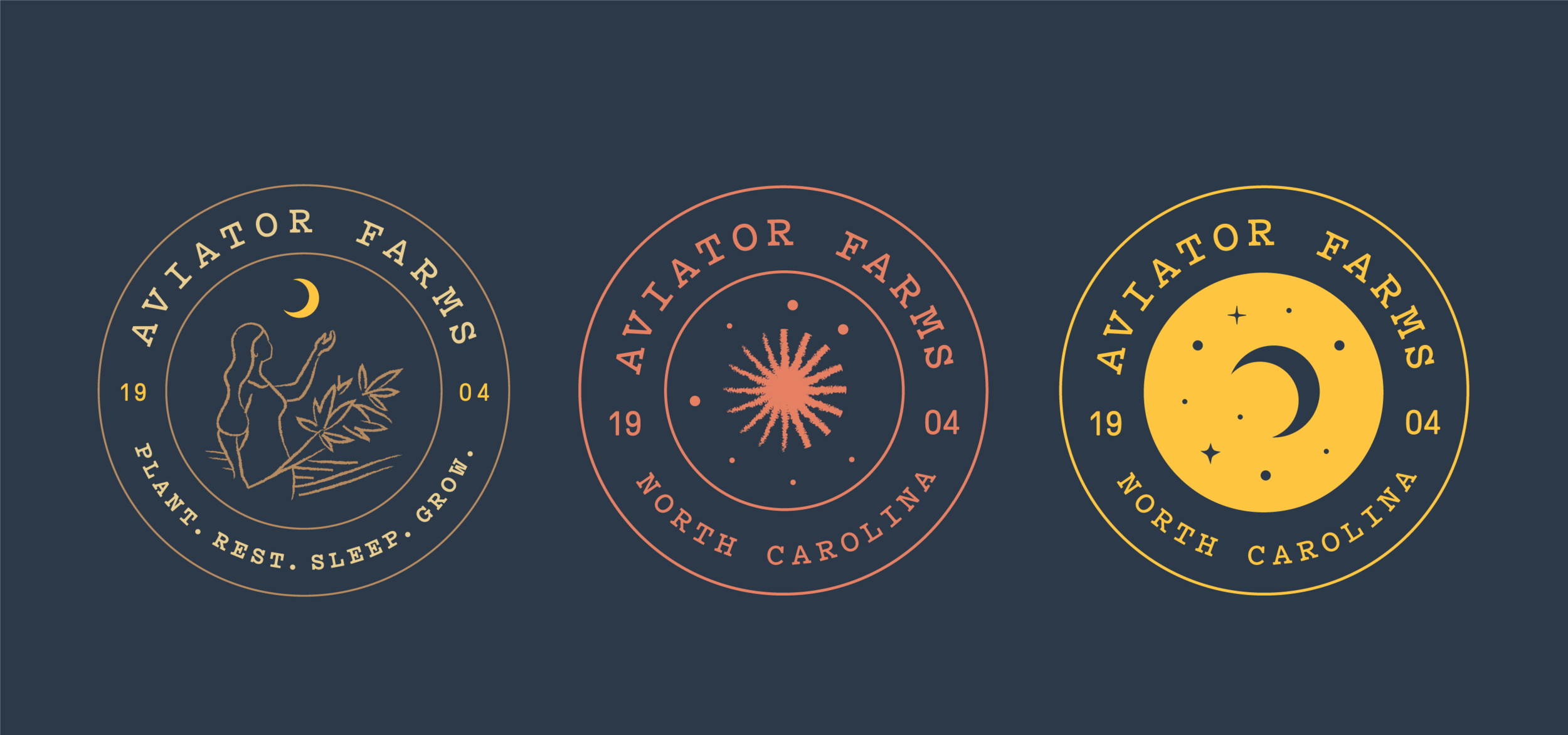 Aviator-Cannabis-Branding-Identity-21.png