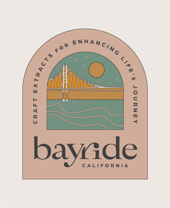 Bayride | Branding, Creative Direction, Illustration