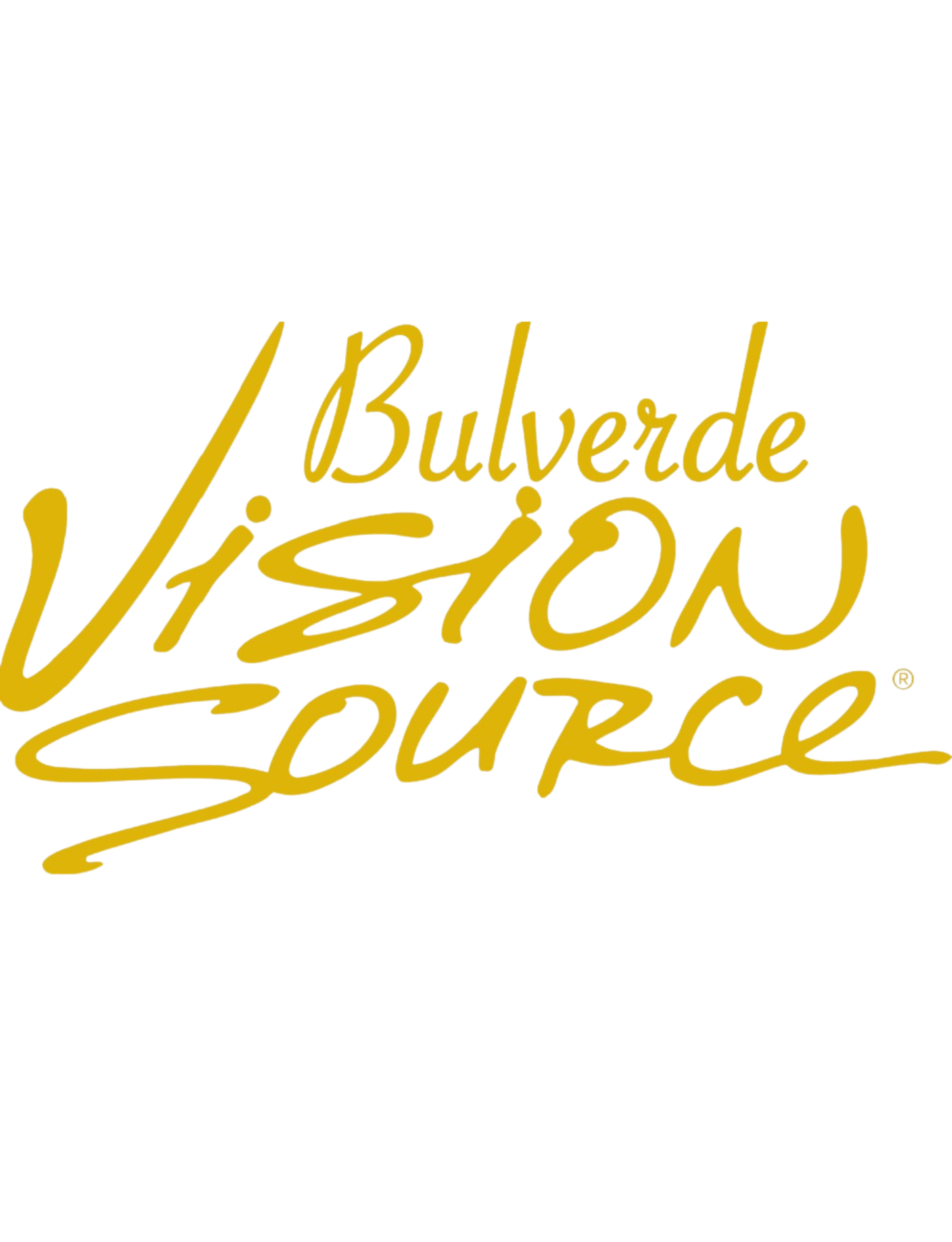 BVisionSourceLogo.png