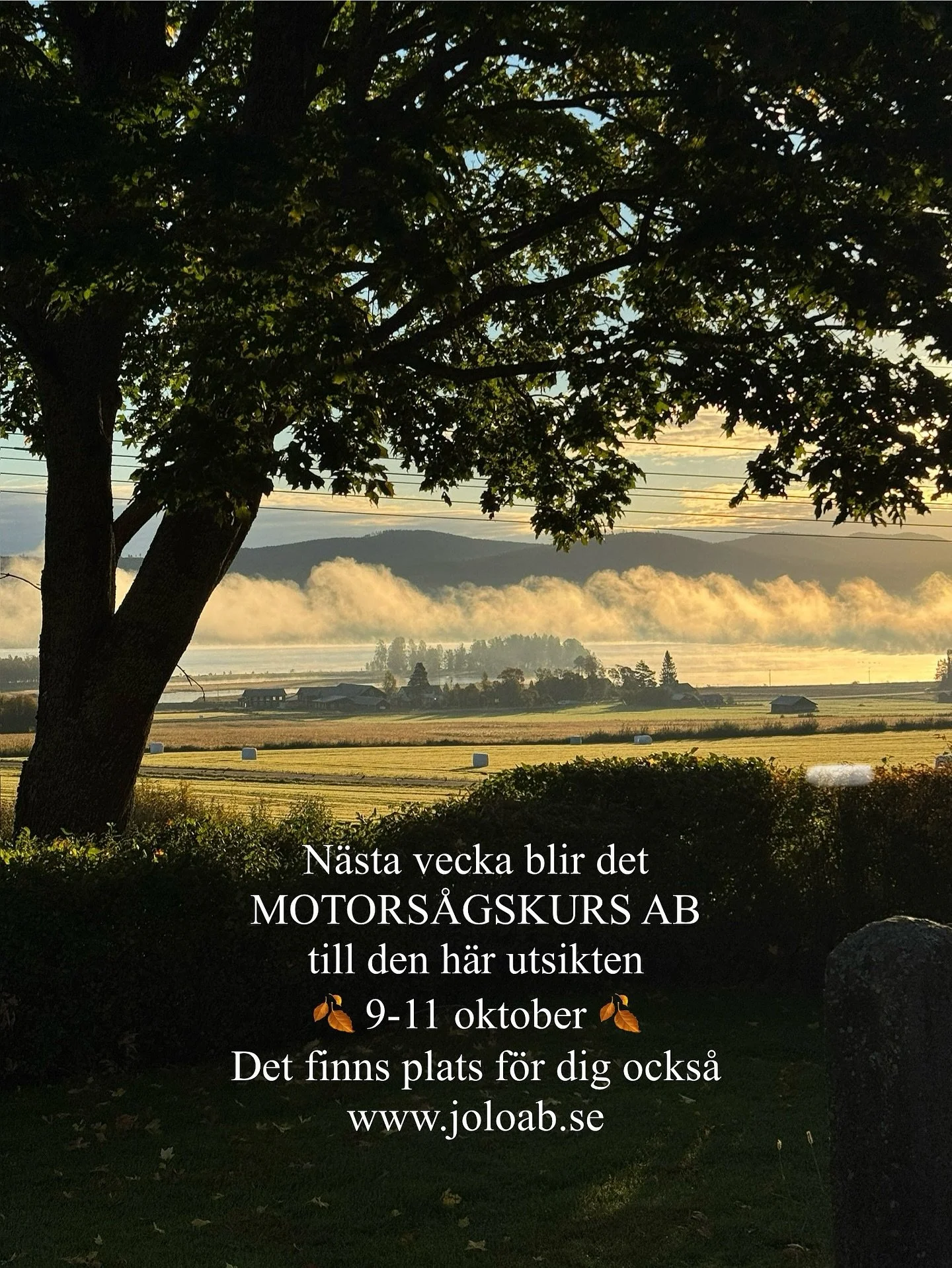 GOD MORGON 🍂 

https://www.joloab.se/kontakt #