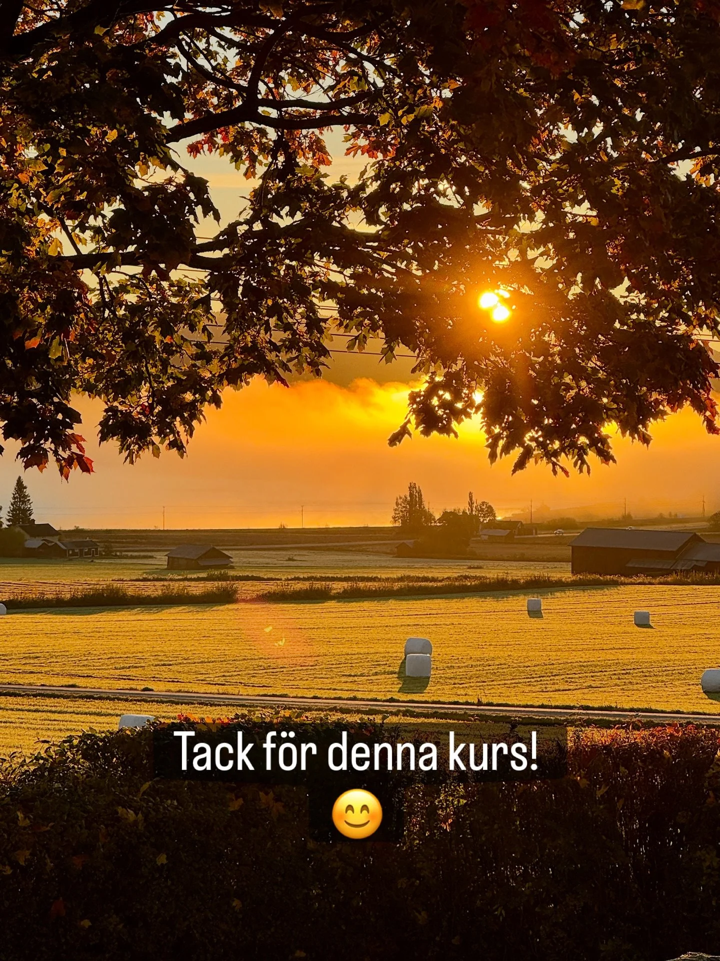 Ibland kan vi tyv&auml;rr inte g&aring; v&aring;ra kursdeltagares &ouml;nskem&aring;l helt till m&ouml;tes&hellip; 😂
En GT 🍹i verkstan 😋 s&aring; h&auml;r p&aring; l&ouml;rdagen och Huldas goda mat tex. 
Ni f&aring;r helt enkelt komma tillbaka p&a
