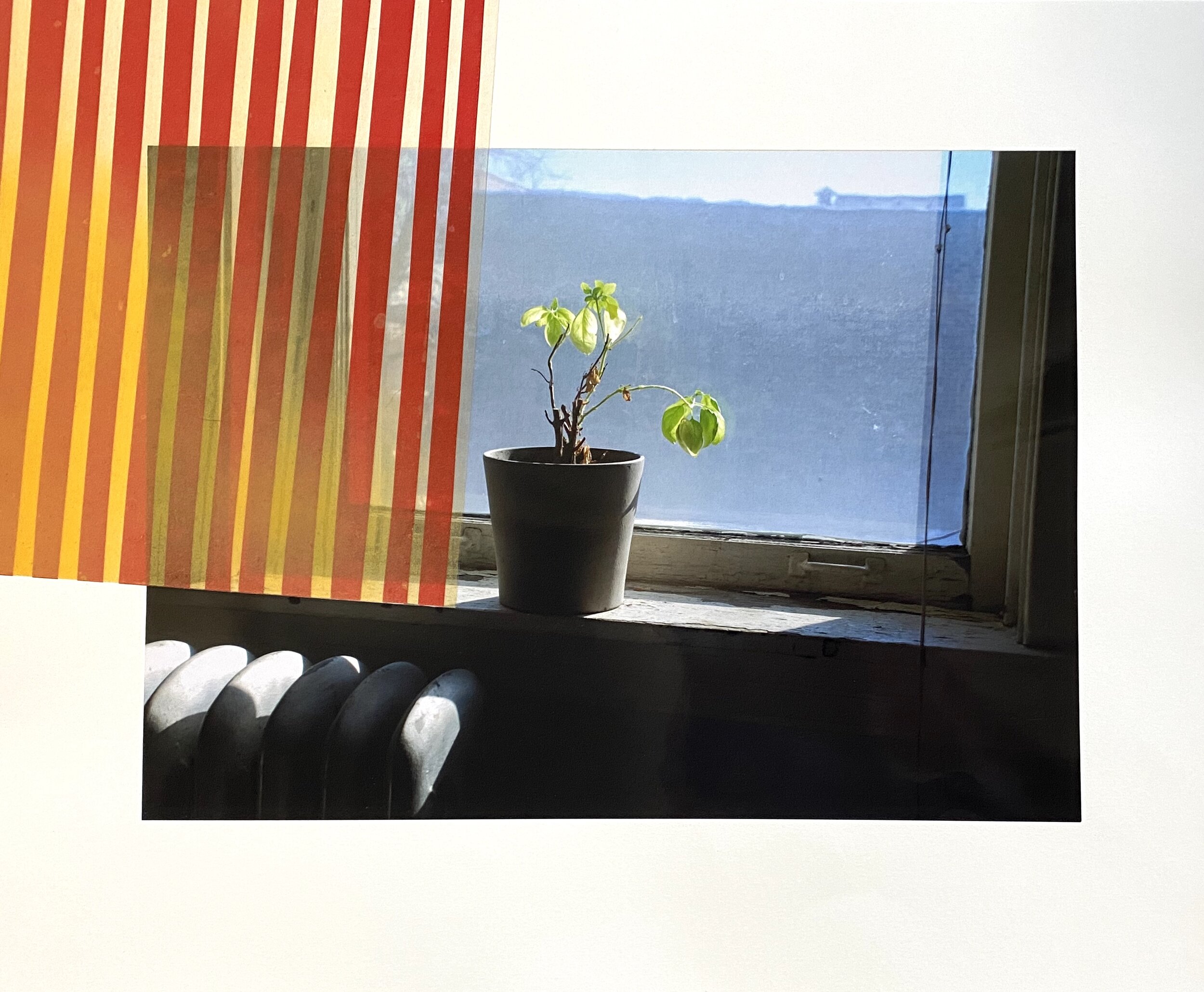 What We've Lost, 2021. Mixed media on mounted photograph. 18 x 22 in.