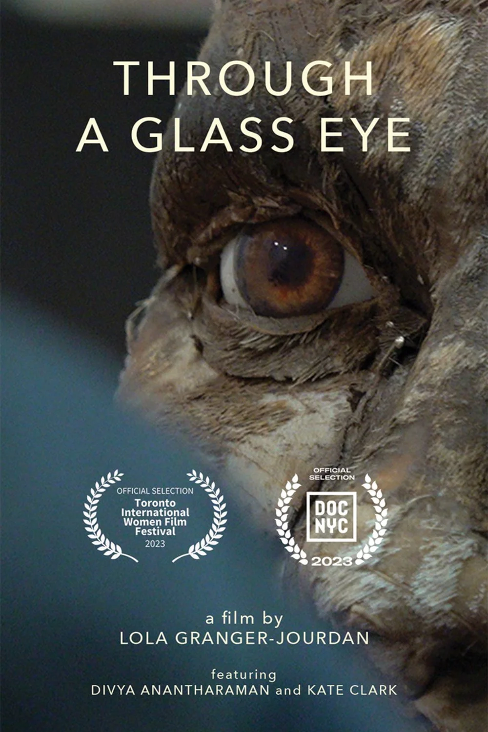 GlassEye_2x3.jpg