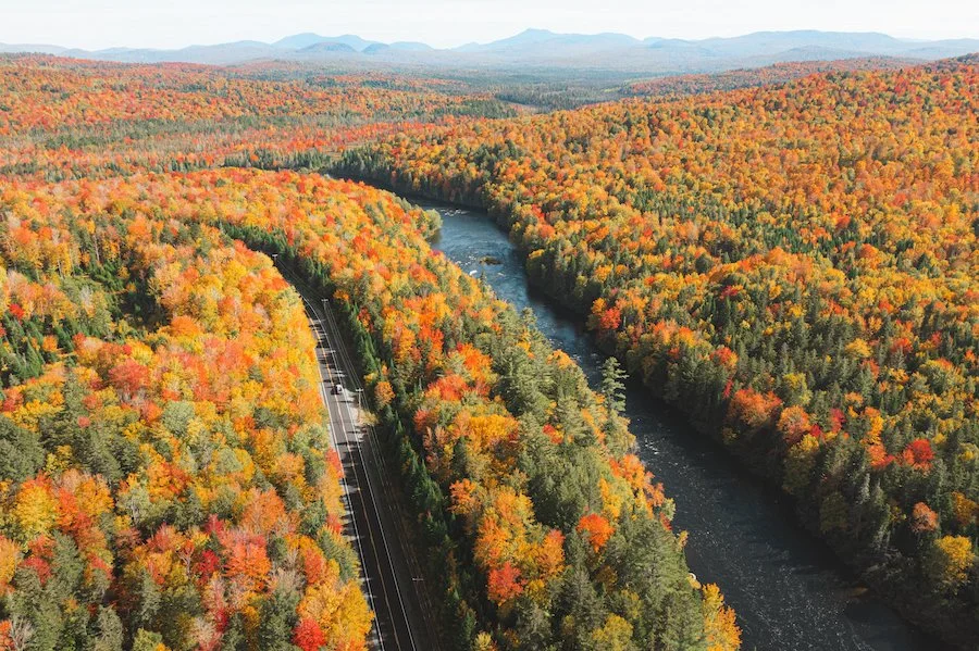 Rural Road Biking in Vermont: Why Cyclists Love the Grassy Brook Loop