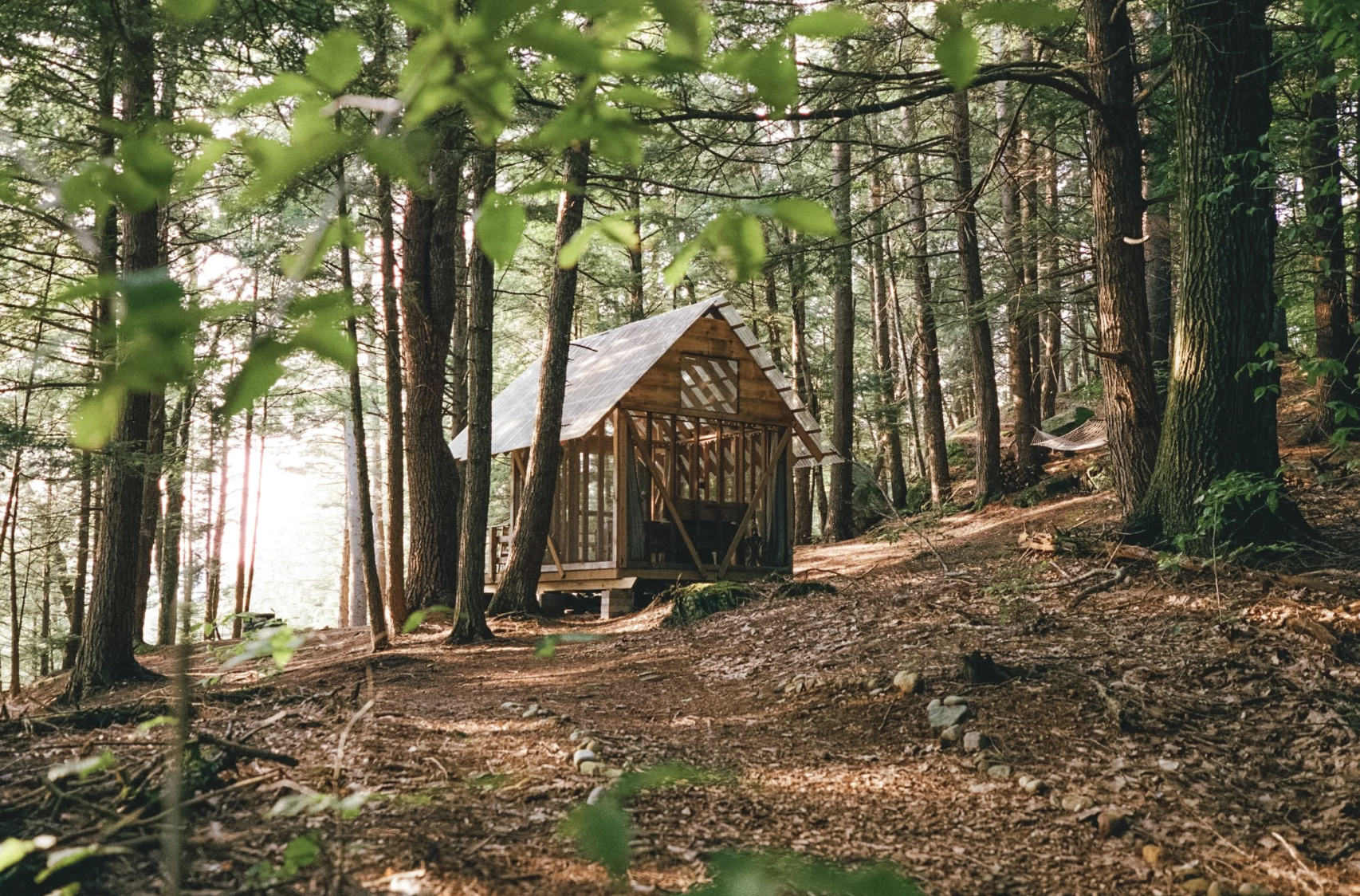 The Science-Backed Case for a 3-Day Forest Stay in Vermont