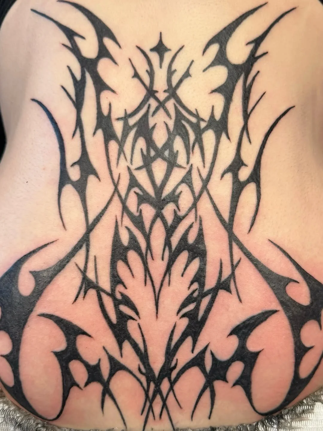 Instagram Downloaded Photo (3).jpg