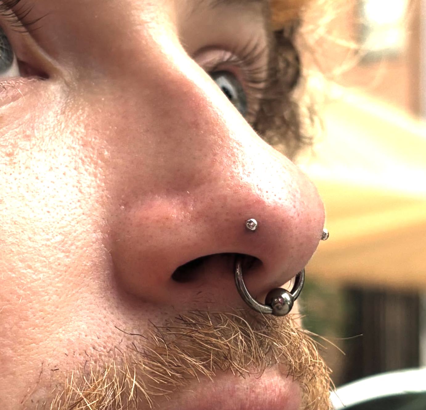 Close-up of a person's face emphasizing their nose, which has multiple facial piercings including a septum ring and two nostril studs, and some facial hair.