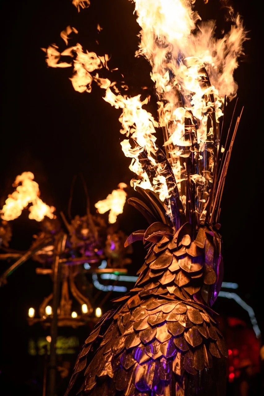 maxkapczynski_850_2160 Large.jpeg