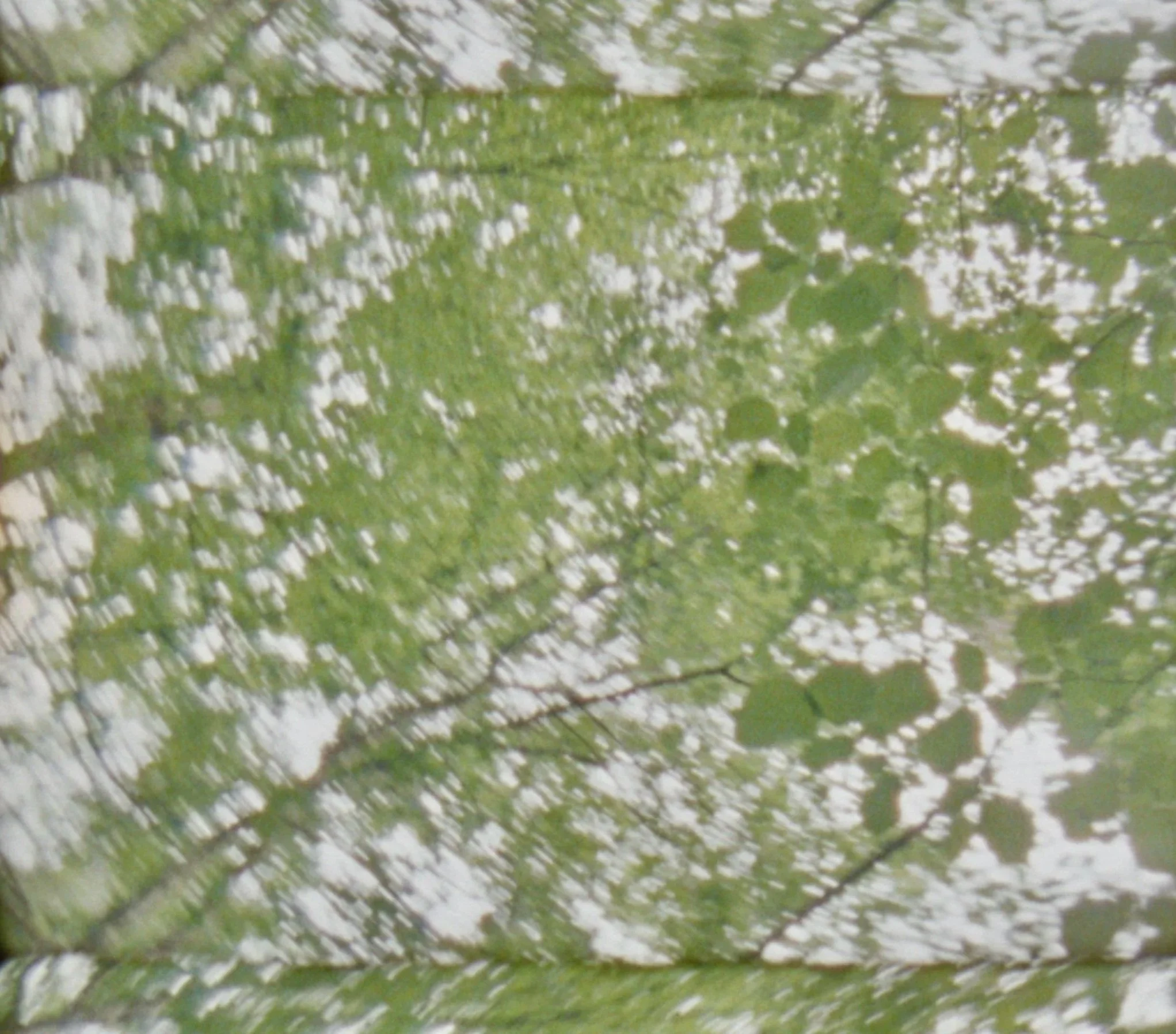 Capture d’écran 2024-10-18 à 10.09.04.jpg