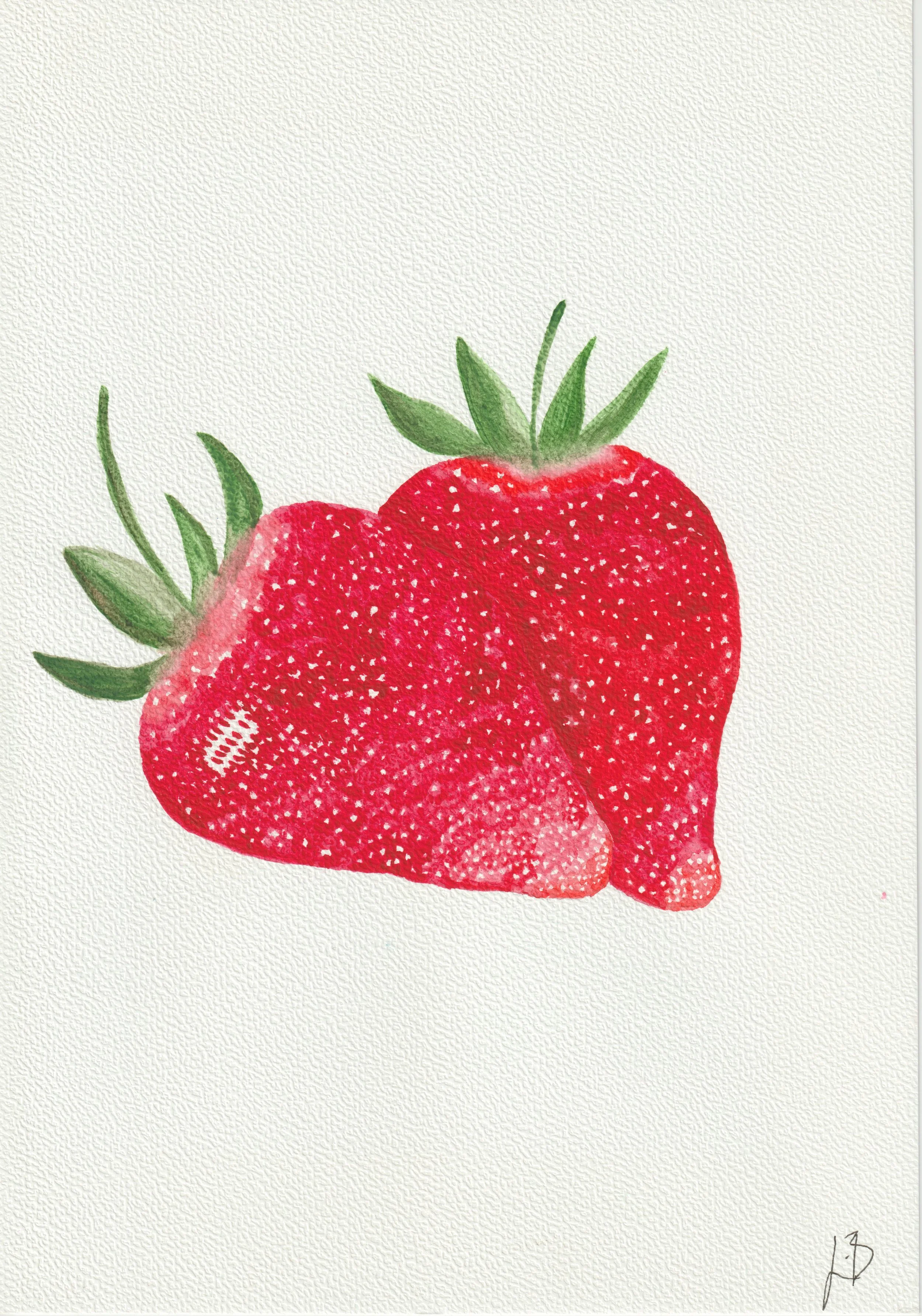 Strawberries (“Flora Medica: A poetic journey through plants”) original (Copy)