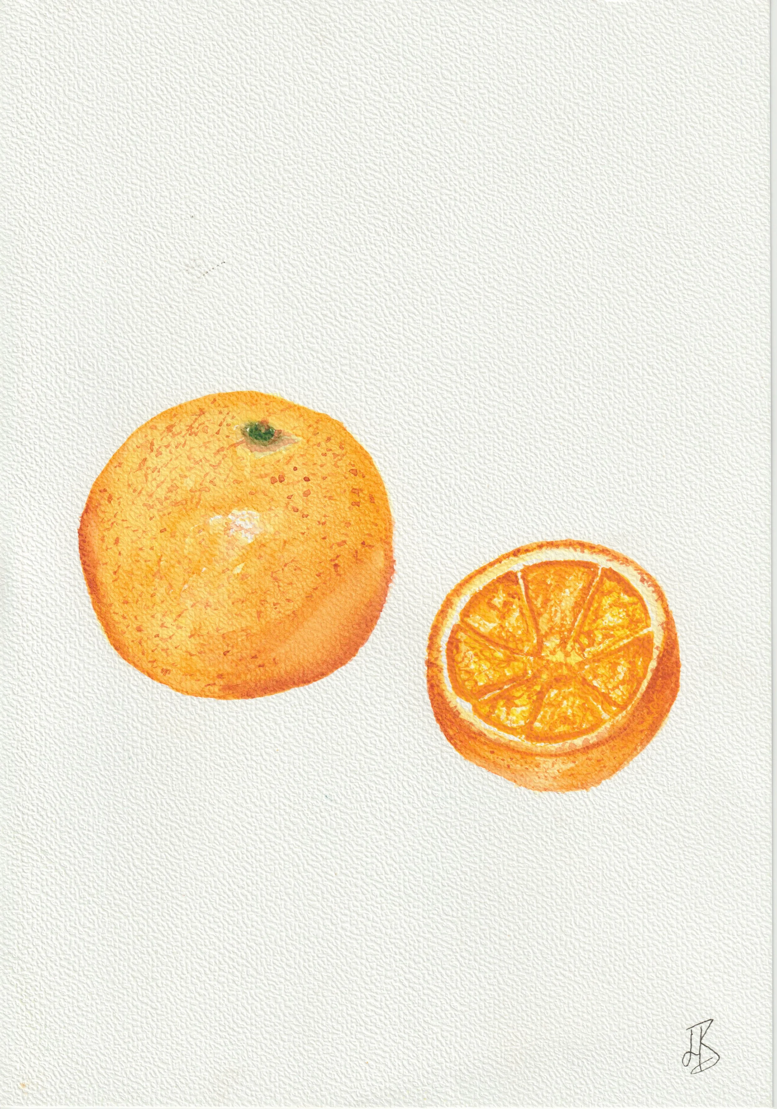 Oranges (“Flora Medica: A poetic journey through plants”) original