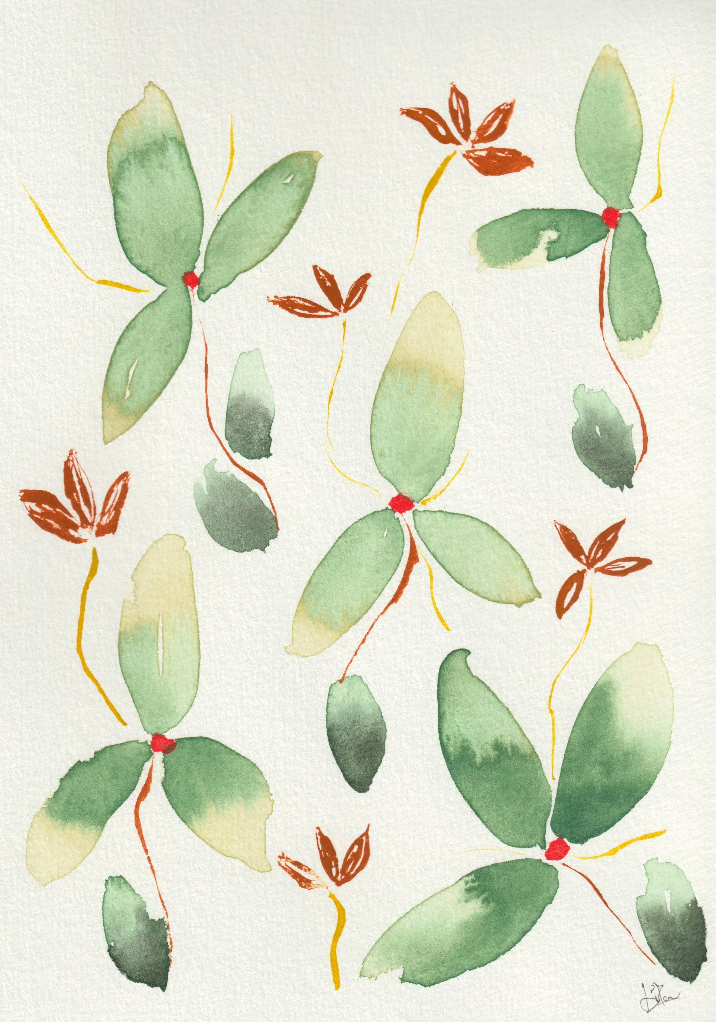 Lucky Leafs, Original