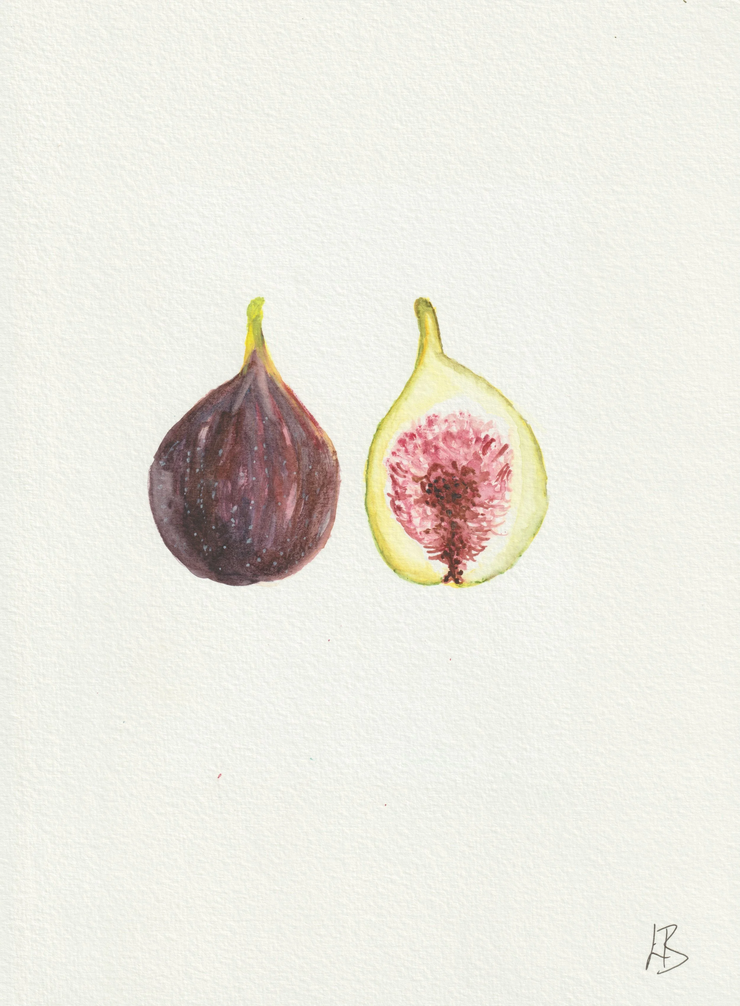 Figs (“Flora Medica: A poetic journey through plants”) original