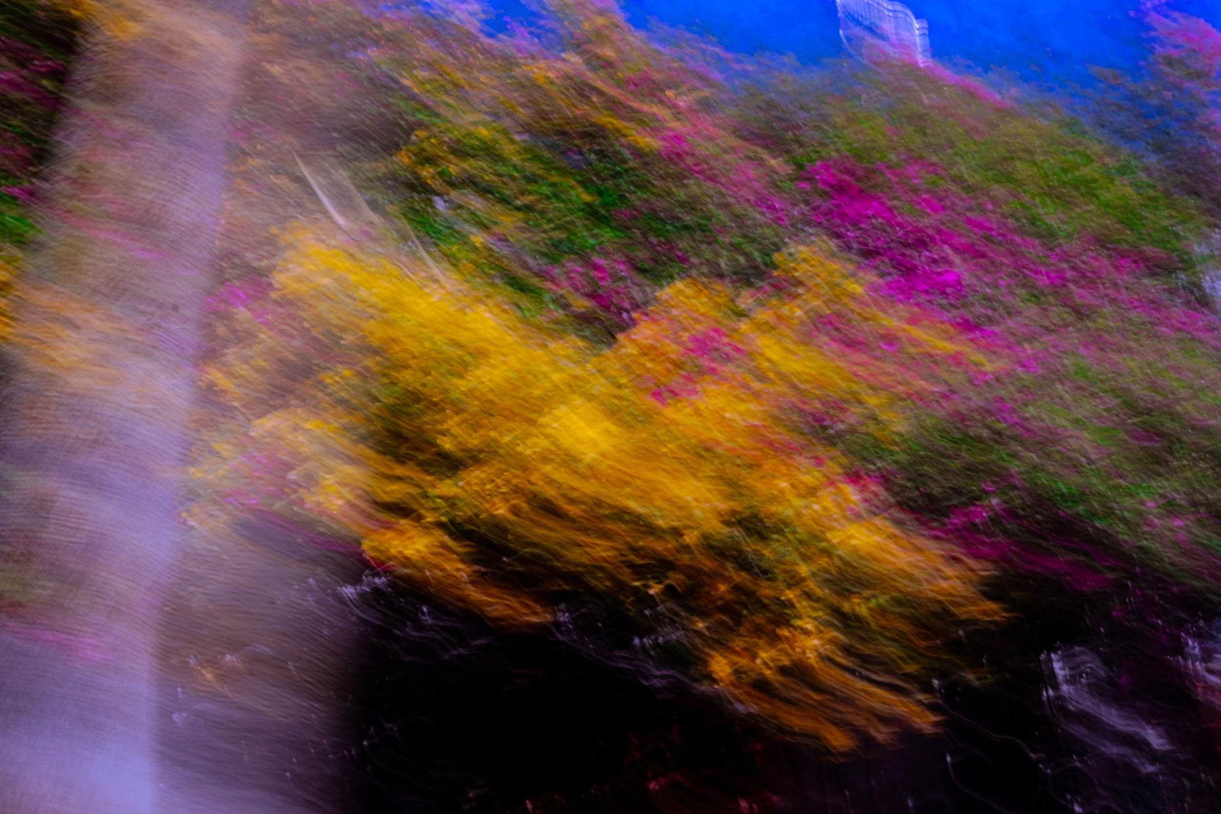 Nostalgia of Speed F14.jpg