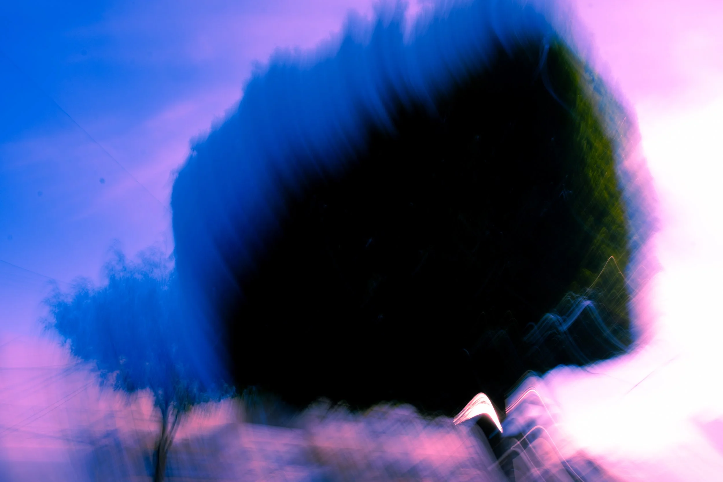 DSCF7401.jpg
