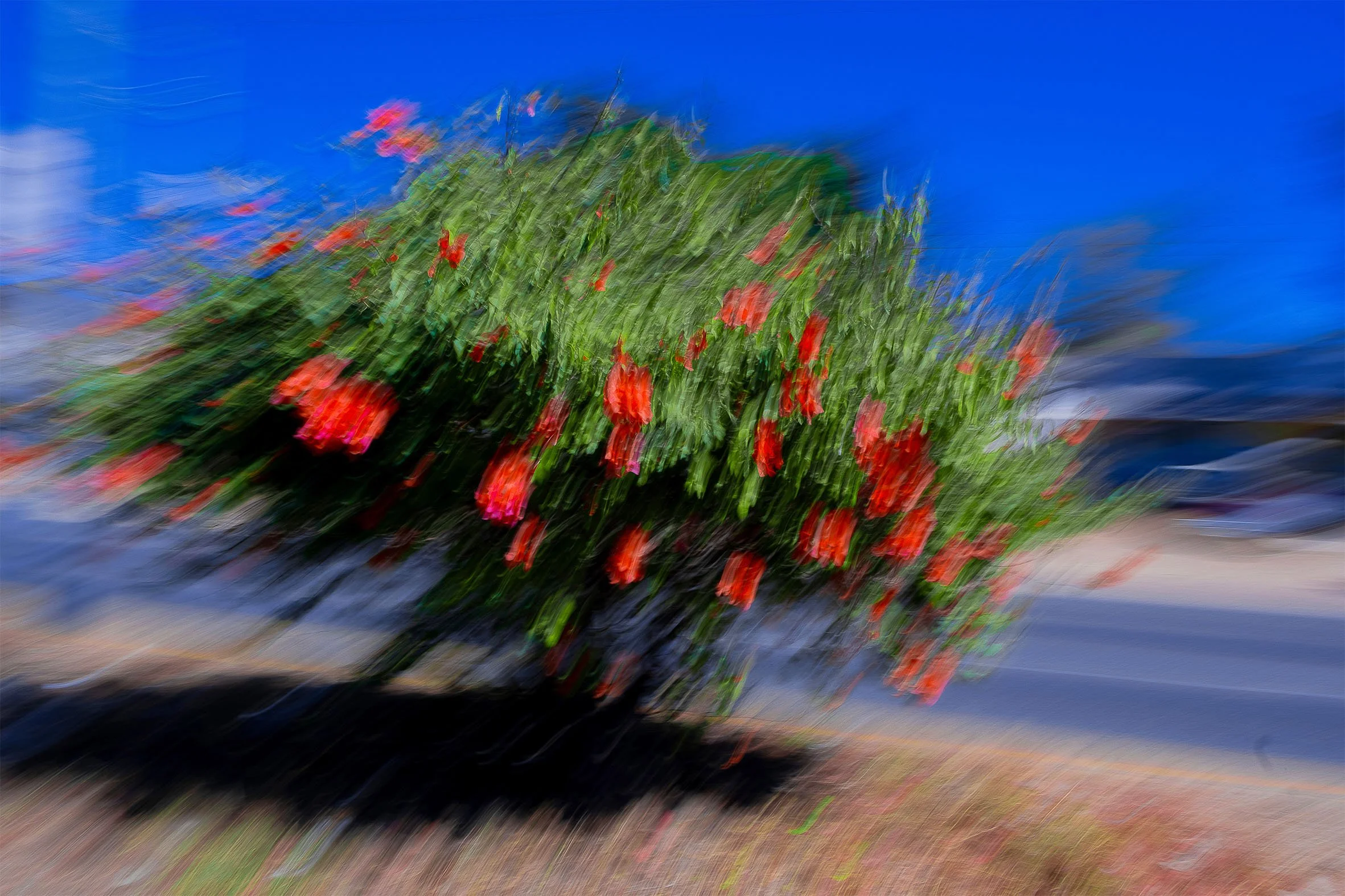 Nostalgia of Speed F1.jpg
