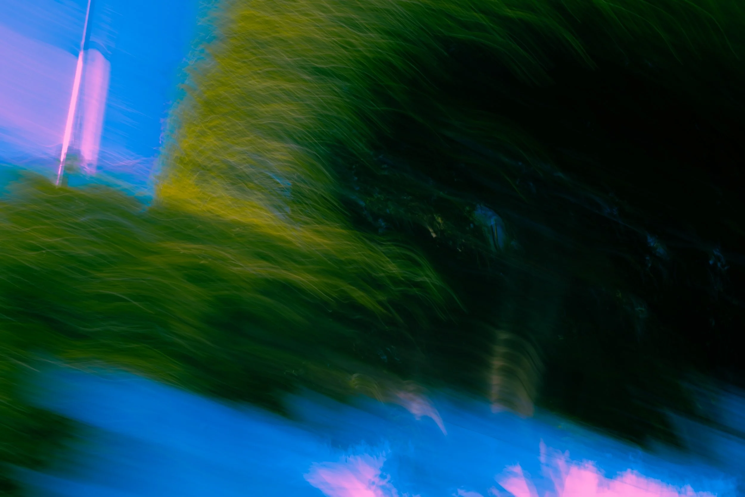 8.DSCF8318.jpg