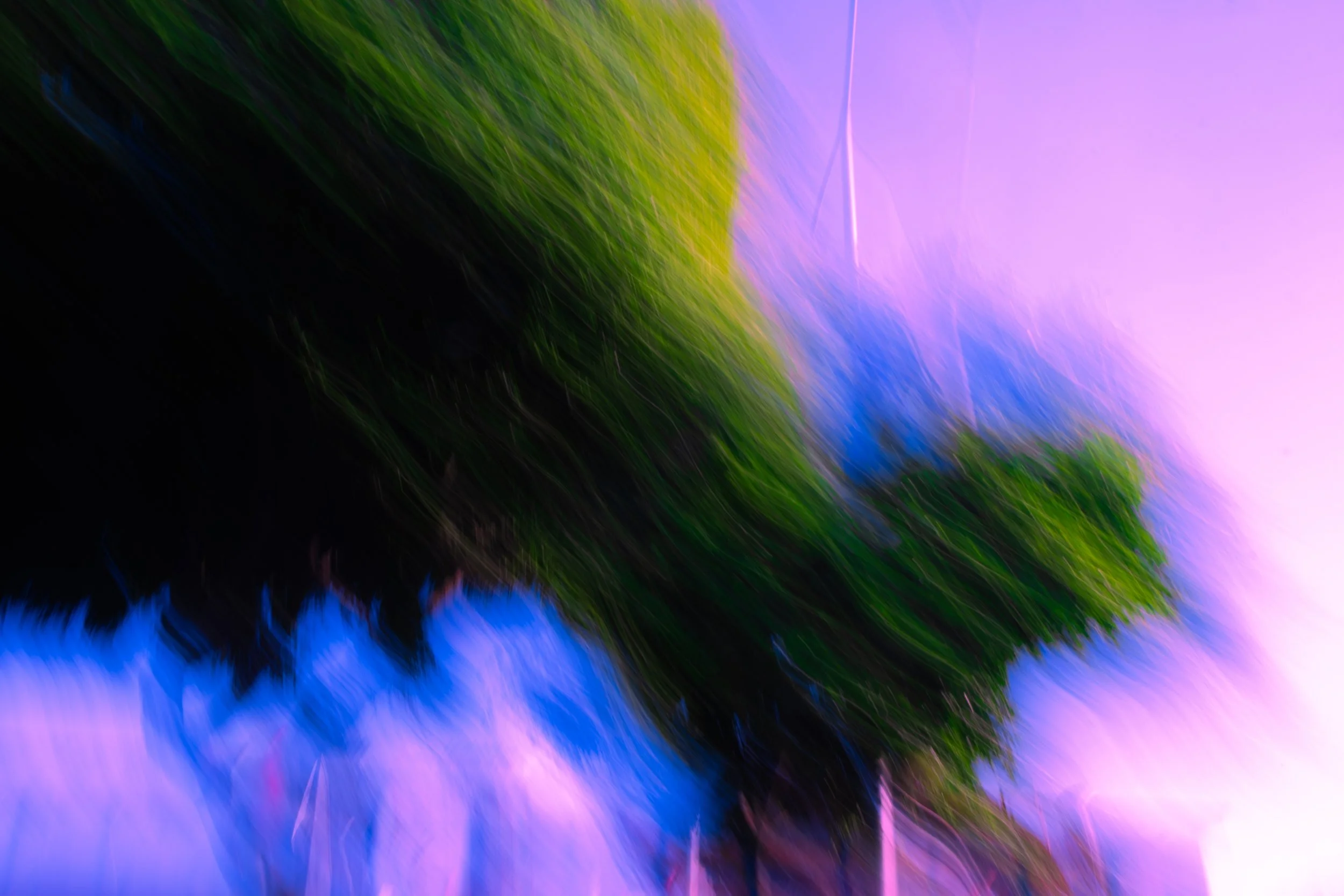1.DSCF7244-2.jpg