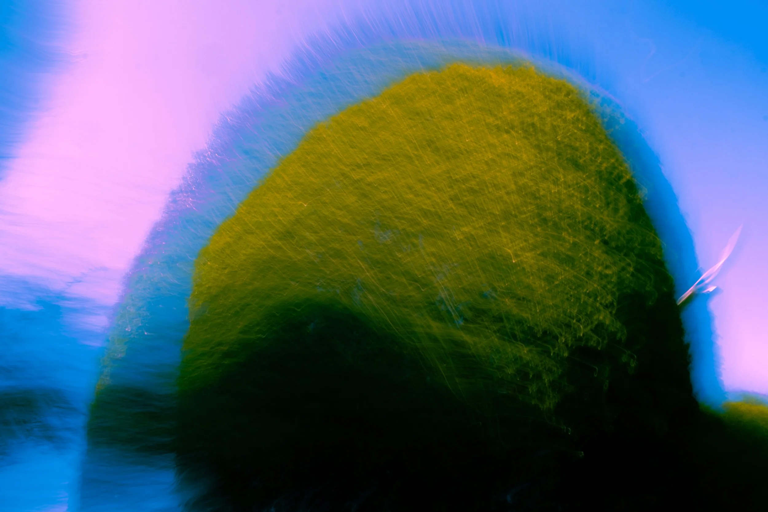 9.DSCF8352.jpg