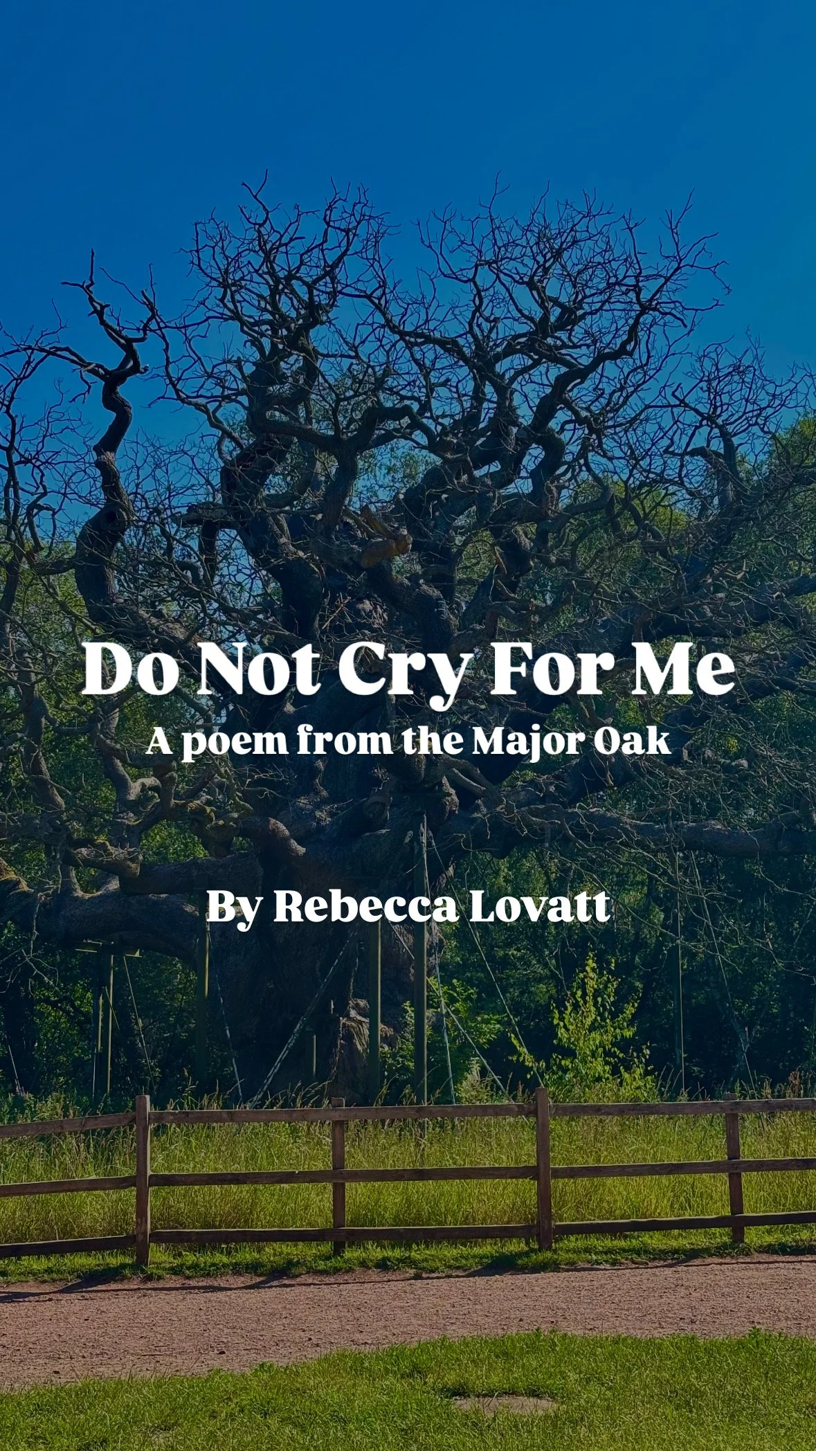Do Not Cry For Me: A Poem from the Major Oak, Sherwood Forest