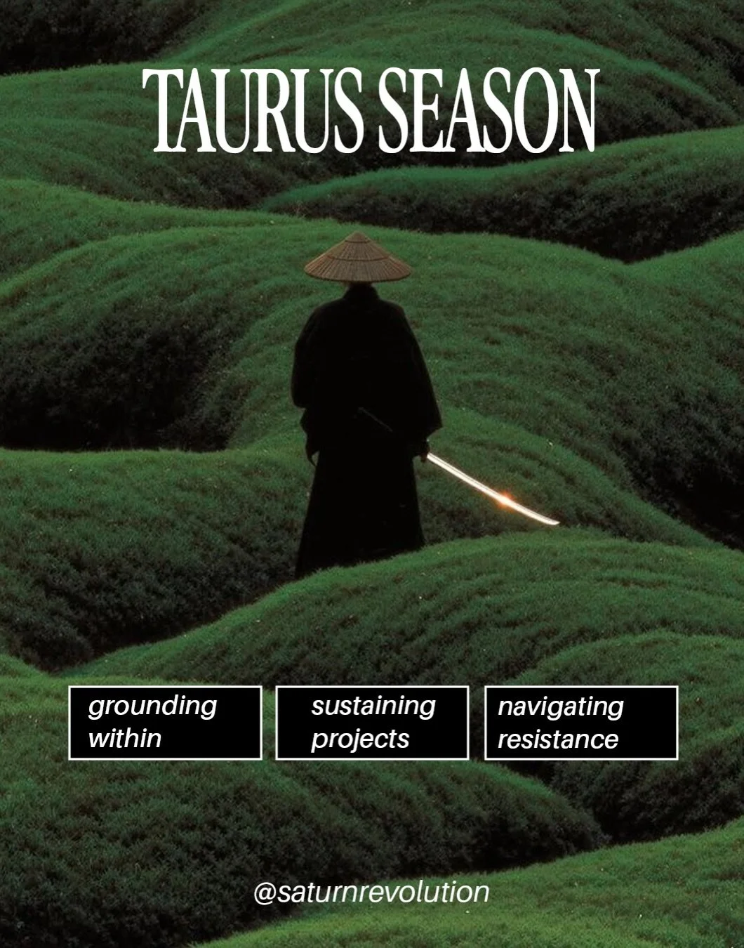 ready for a renewal?🪲

#astrology #taurus #season