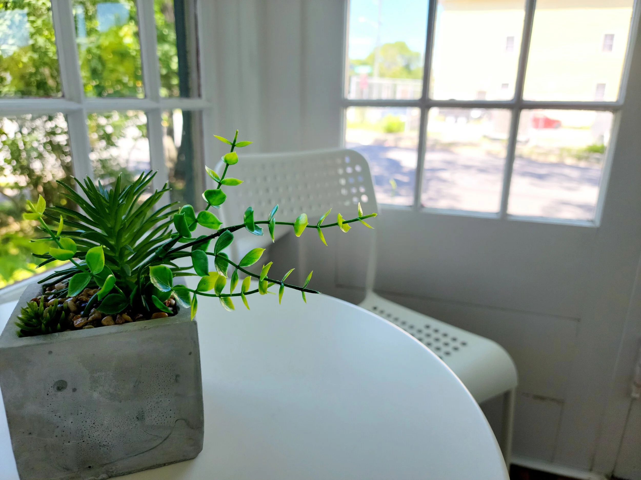 A potted succulent plant on a white table near a window with a blurred outdoor view.
