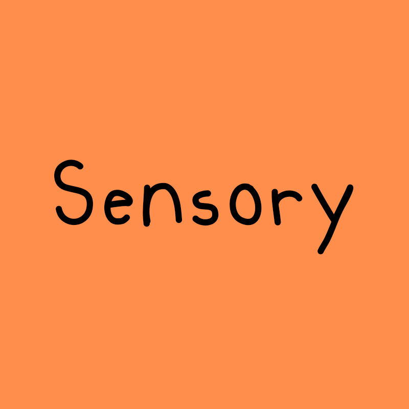 Sensory_3.jpg