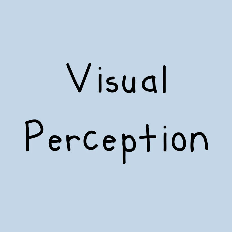 VisualPerception_4.jpg
