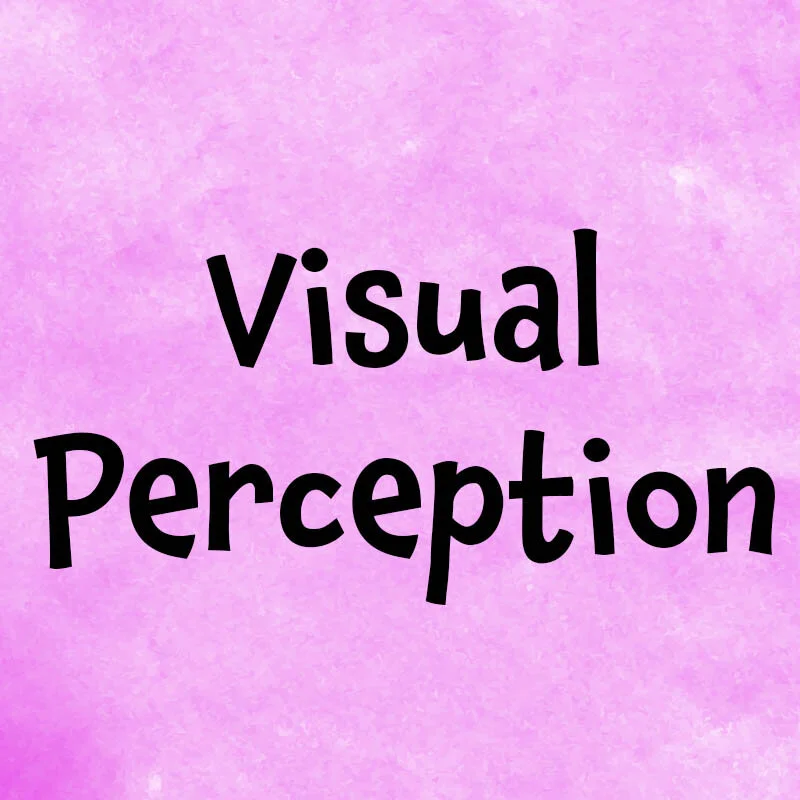VisualPerception_9.jpg
