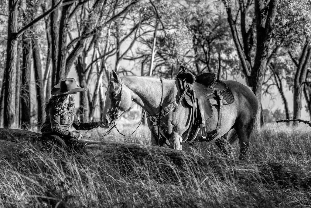 black and white saddled horse with lady rider sitting on a log in a grove of trees in Nebraska