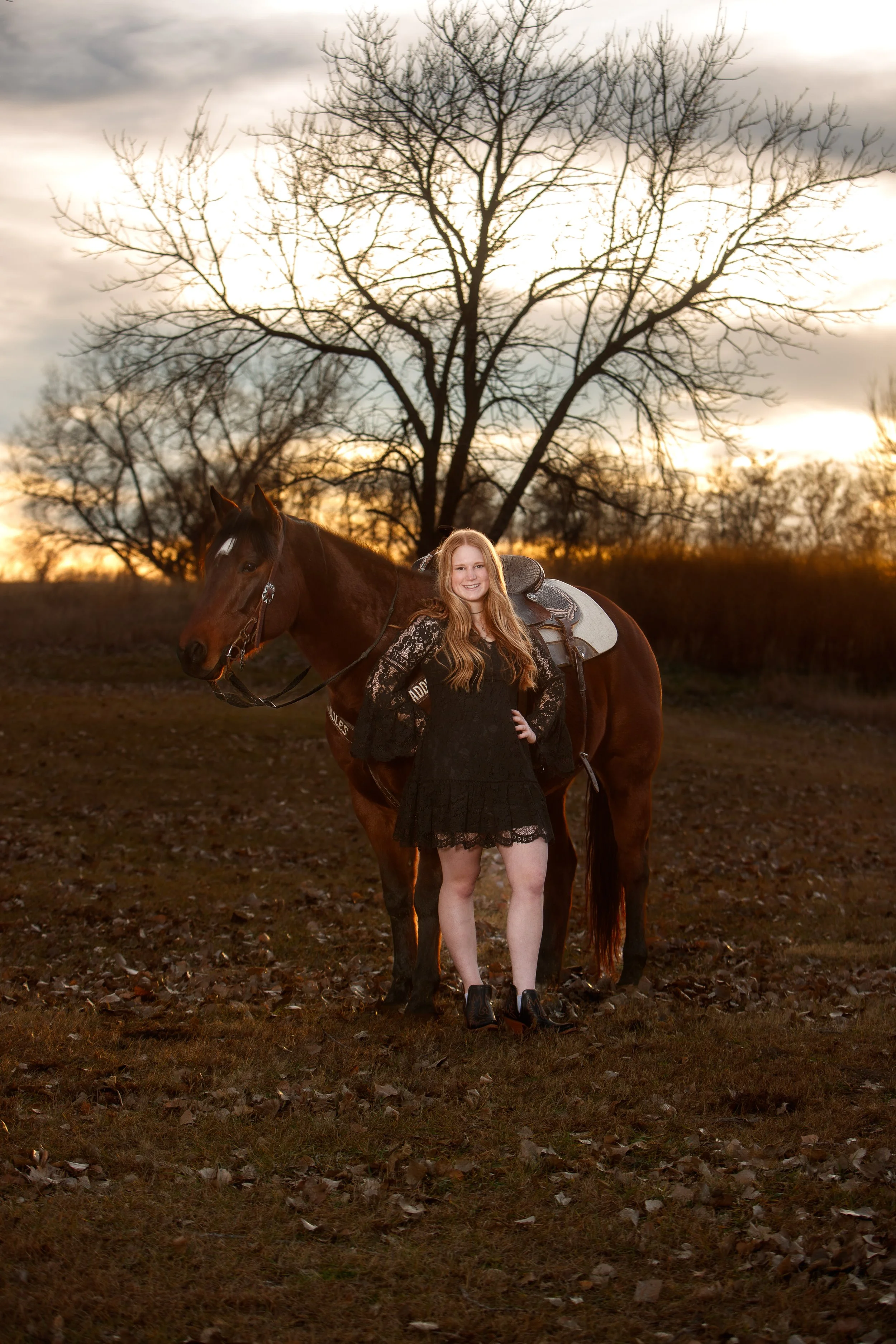 nebraska senior equine photographer bay mare fall 1.jpg
