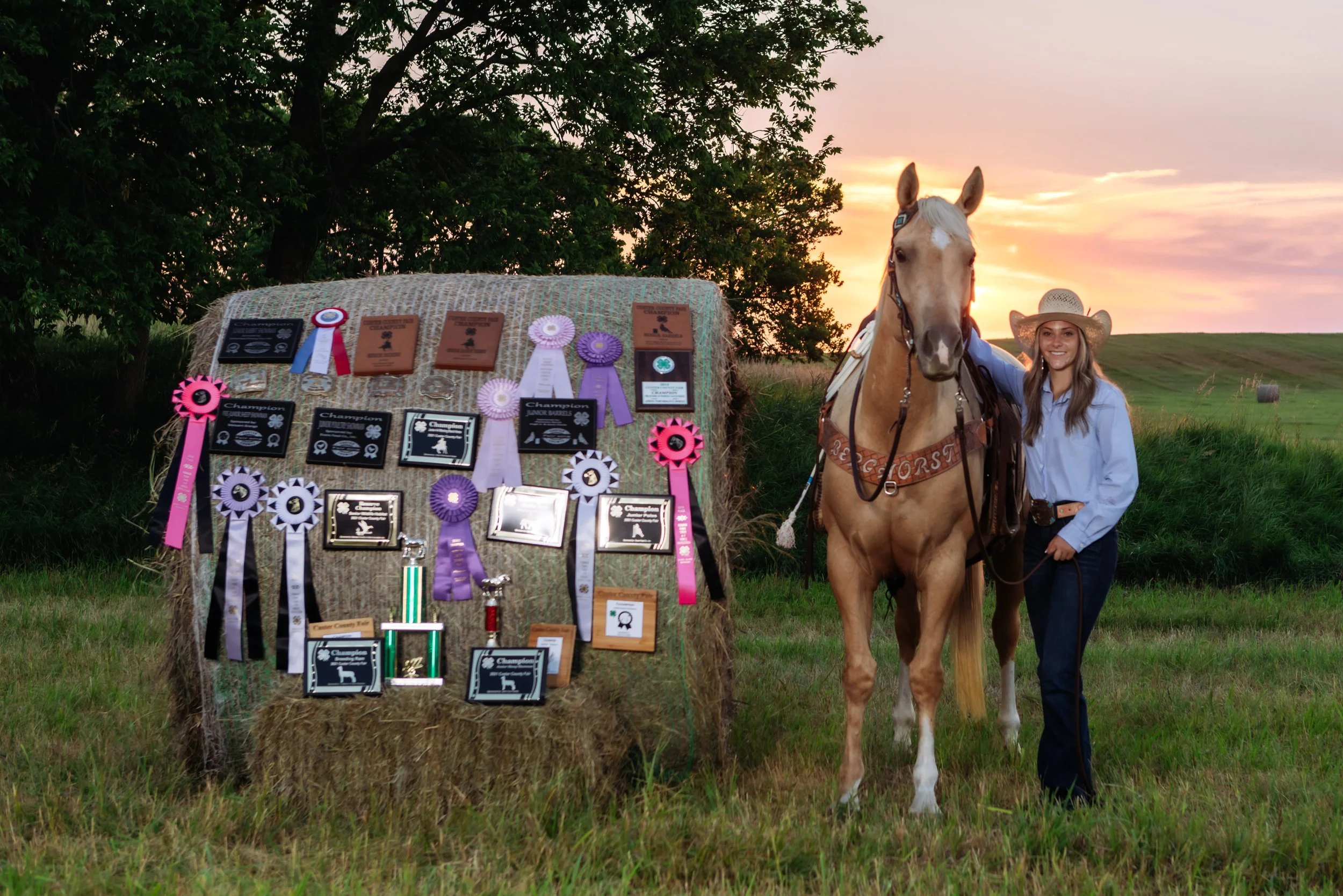 nebraska senior equine photographer alex palomino 5.jpg