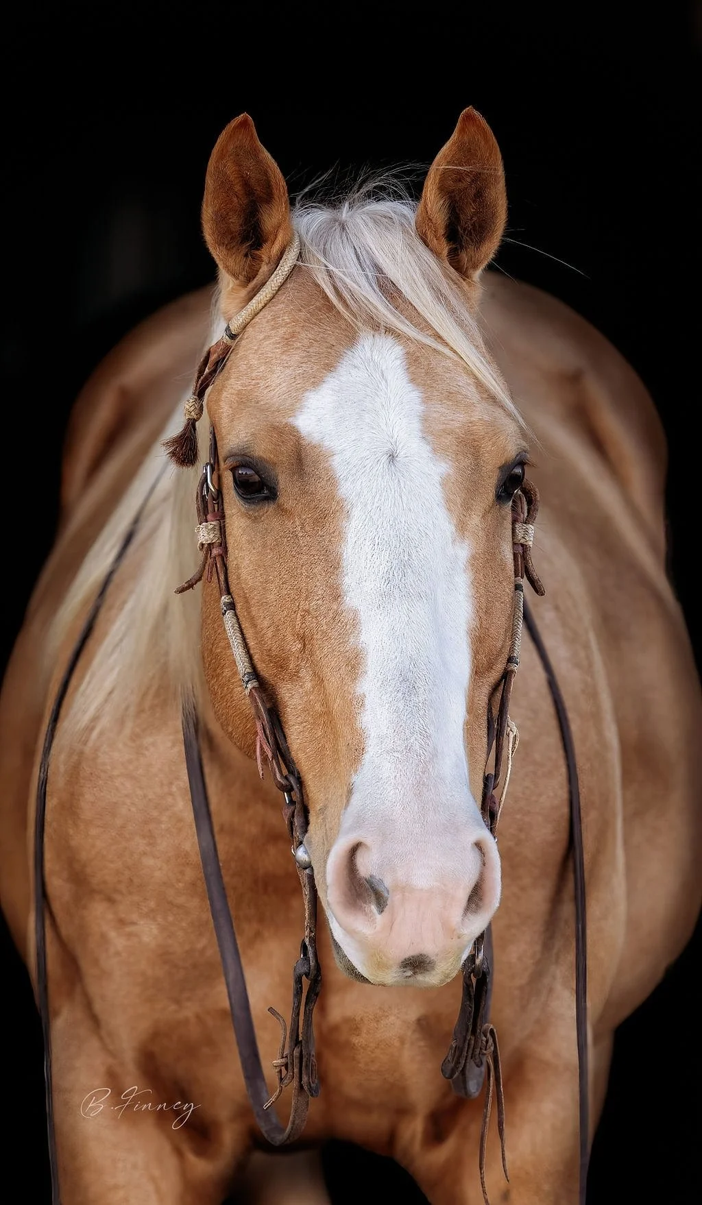 horserider central nebraksa beccasimages-14.jpg