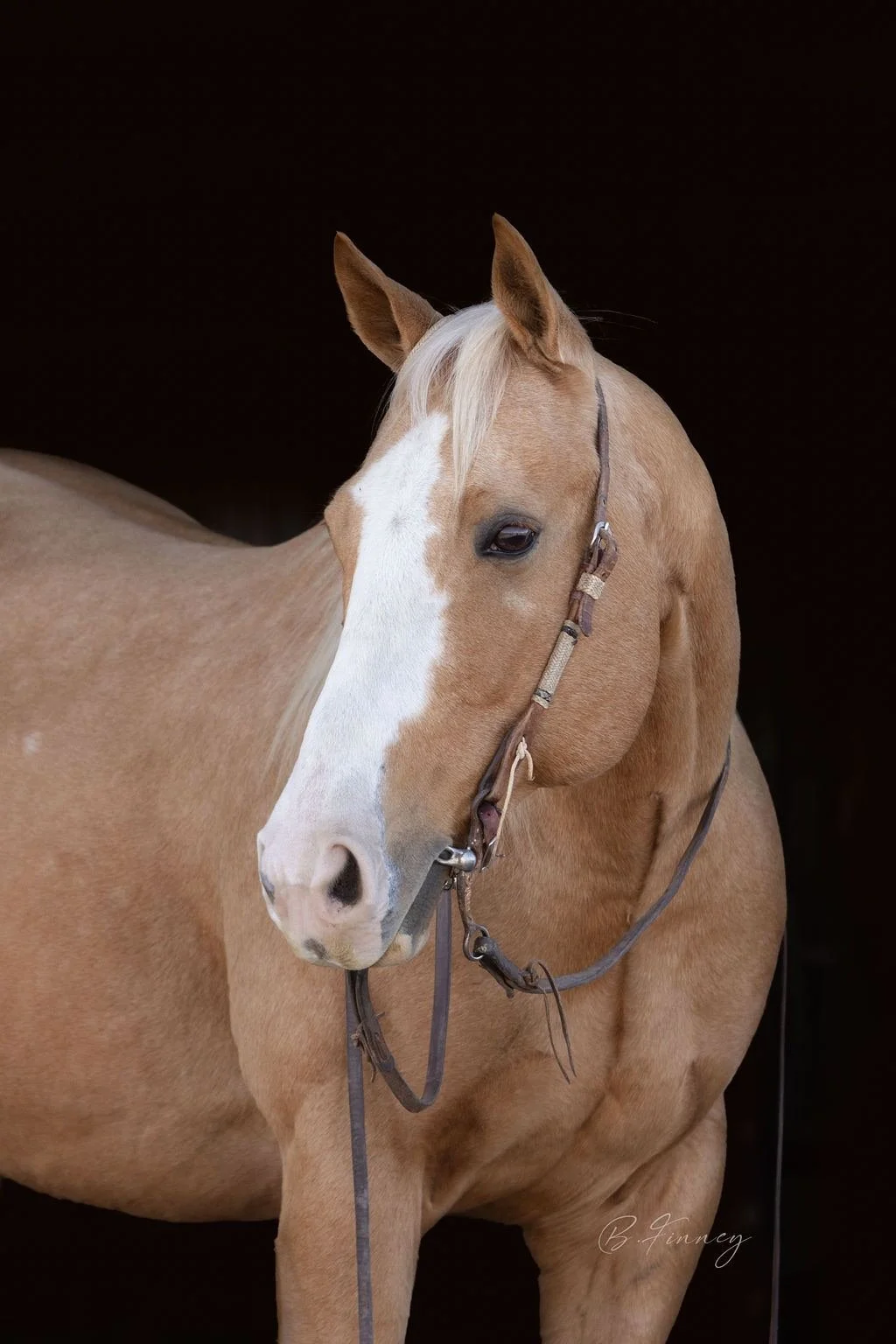 horserider central nebraksa beccasimages-2.jpg