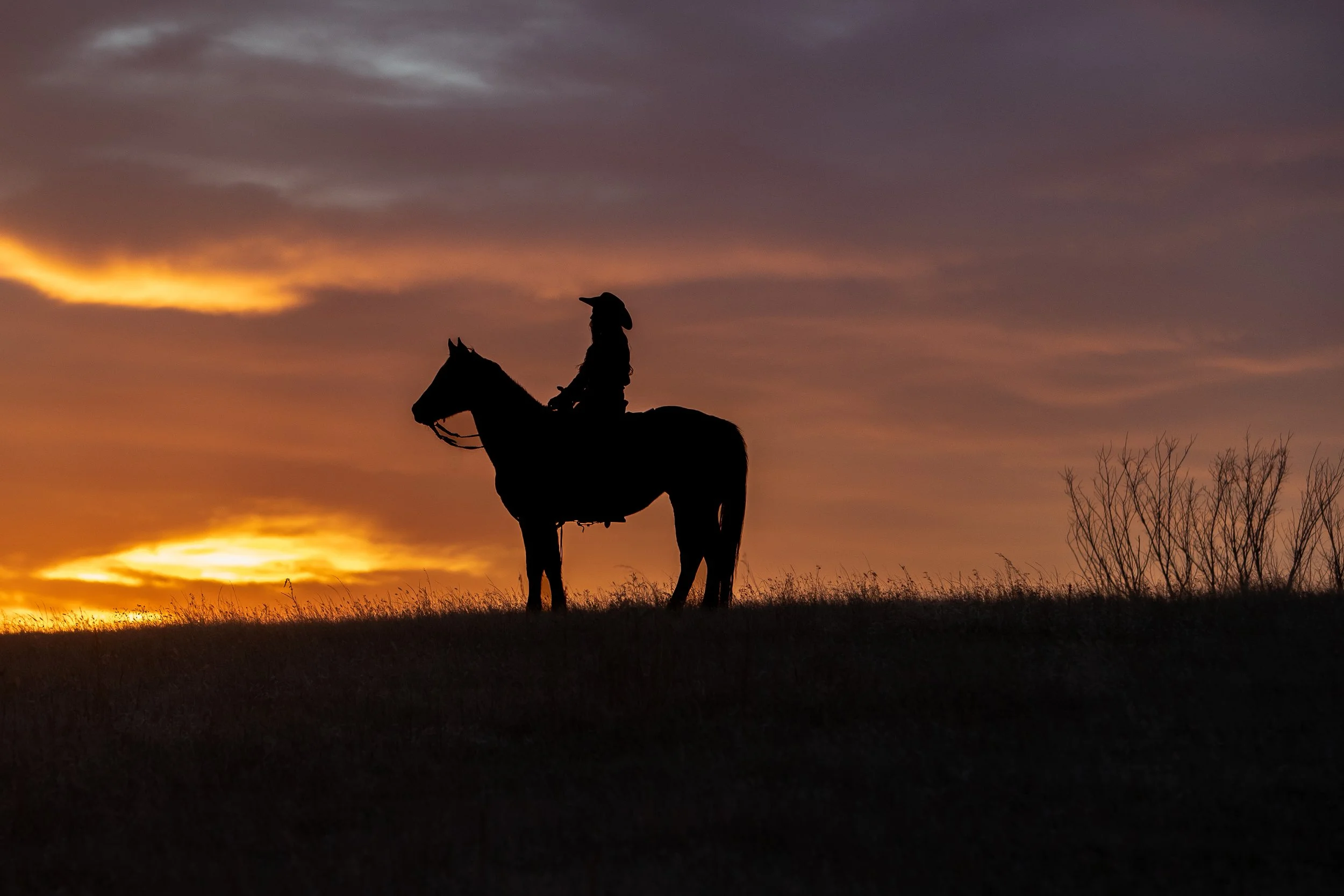 central Nebraska high school senior on her horse and golden sunset
