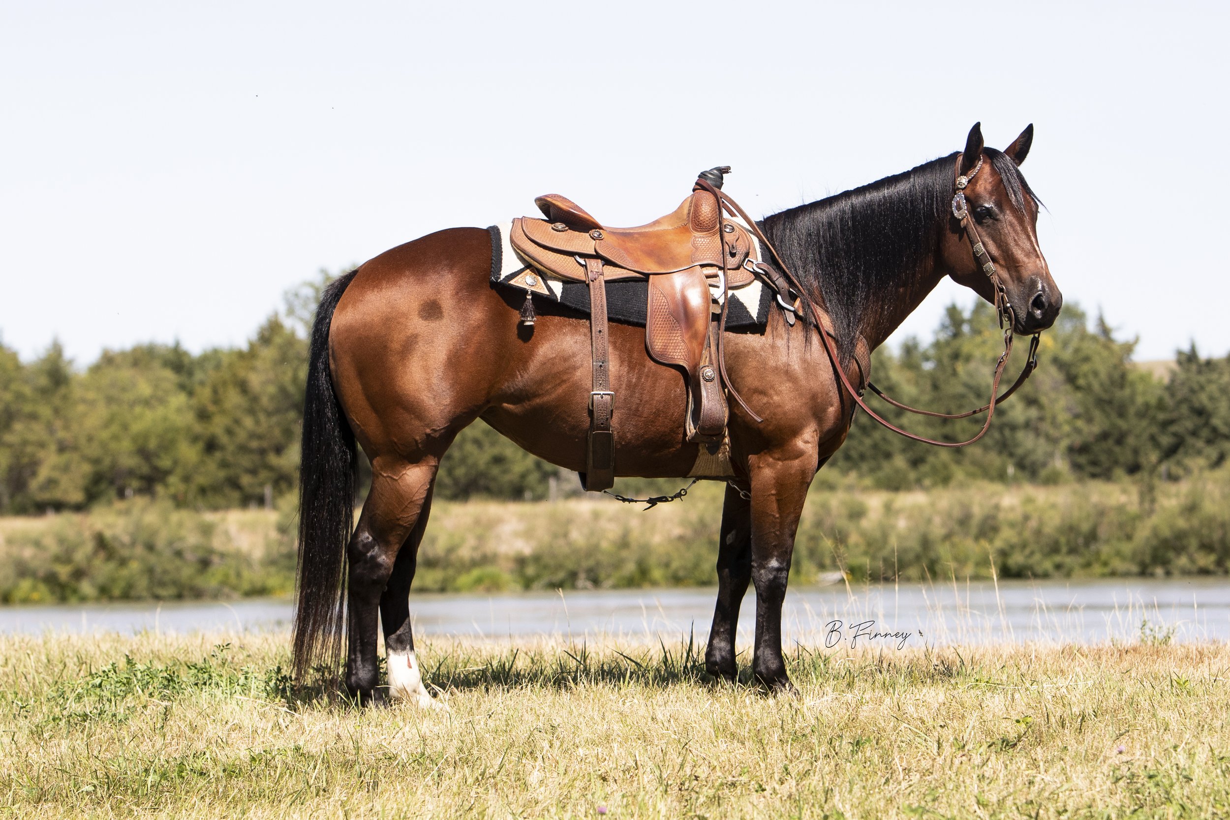 20200913-_K5I7262-Edit-Edit.jpg