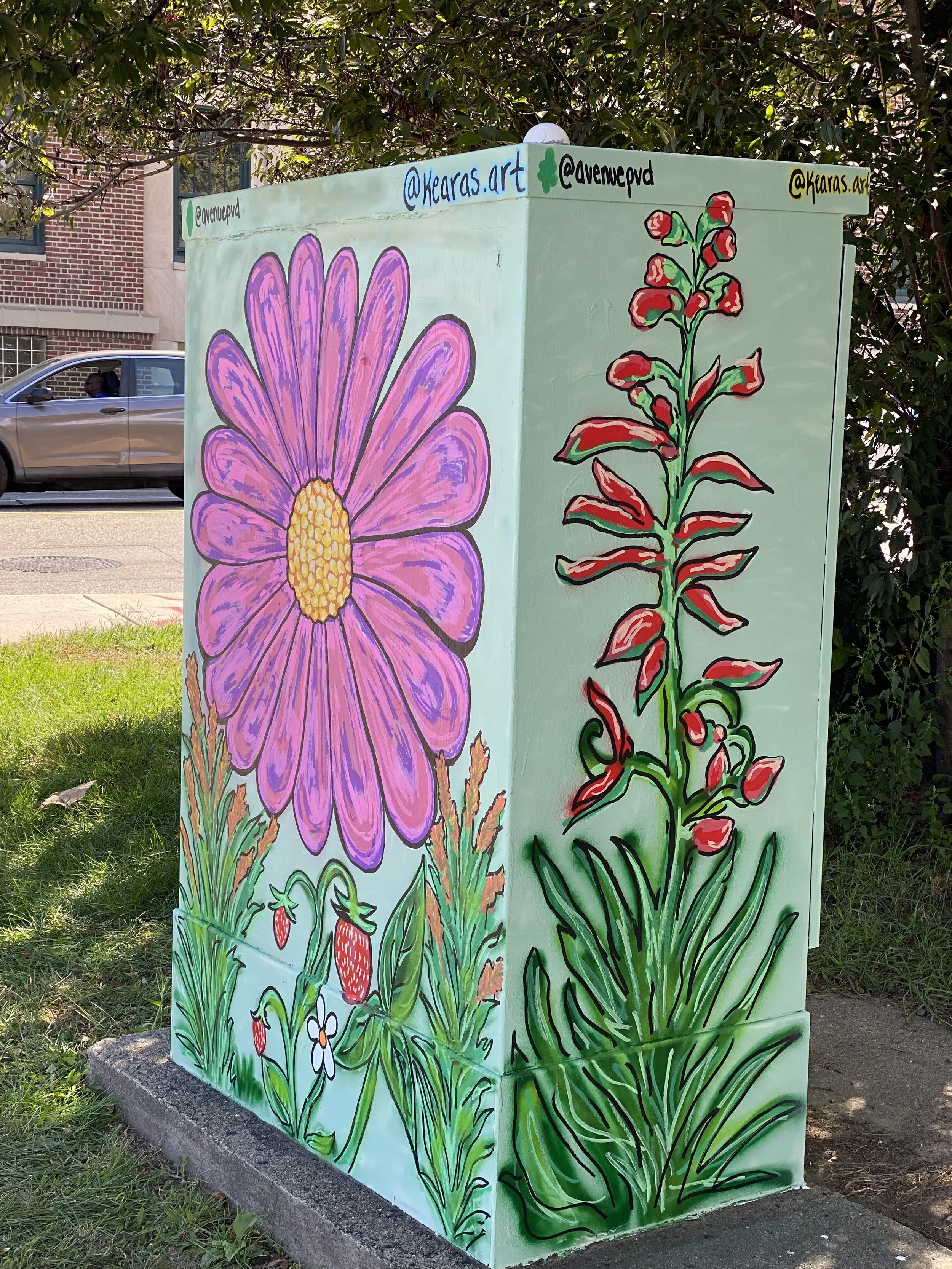 "Locally Grown" Utility Box Painting, Ripples Project collaboration with The Avenue Concepts, Providence Arts Culture and Tourism Department, and The Mayor of Providence. Located in Providence RI - September 2025 (Side 2)