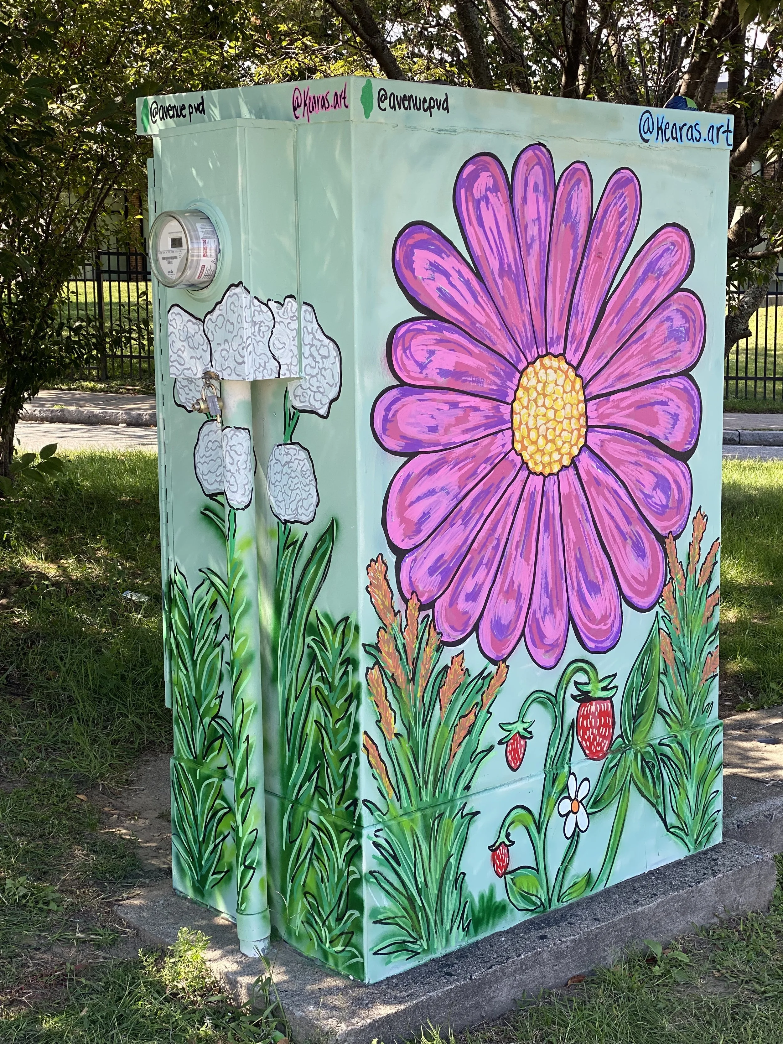 "Locally Grown" Utility Box Painting, Ripples Project collaboration with The Avenue Concepts, Providence Arts Culture and Tourism Department, and The Mayor of Providence. Located in Providence RI - September 2025 (Side 1)