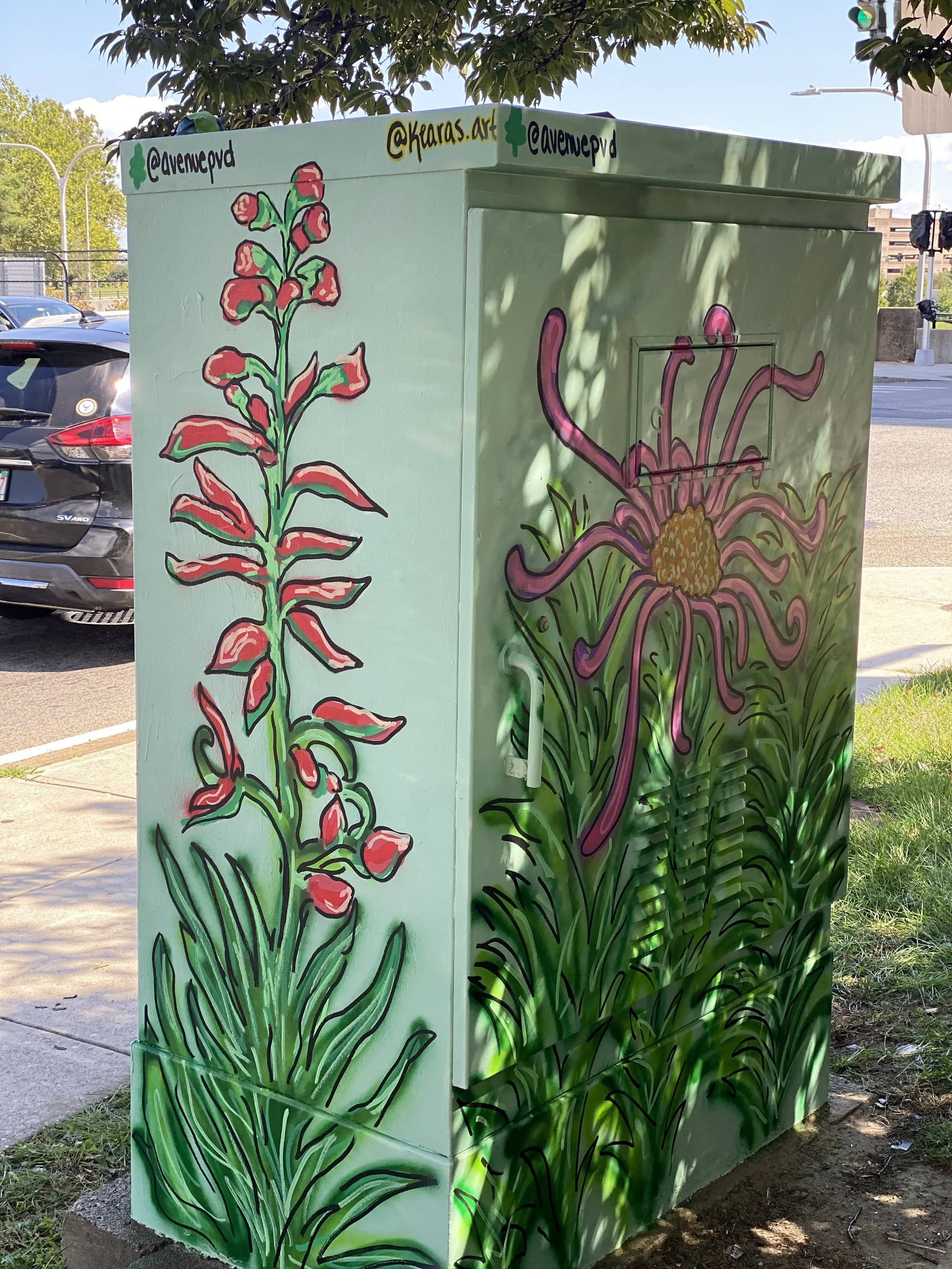 "Locally Grown" Utility Box Painting, Ripples Project collaboration with The Avenue Concepts, Providence Arts Culture and Tourism Department, and The Mayor of Providence. Located in Providence RI - September 2025 (Side 3)
