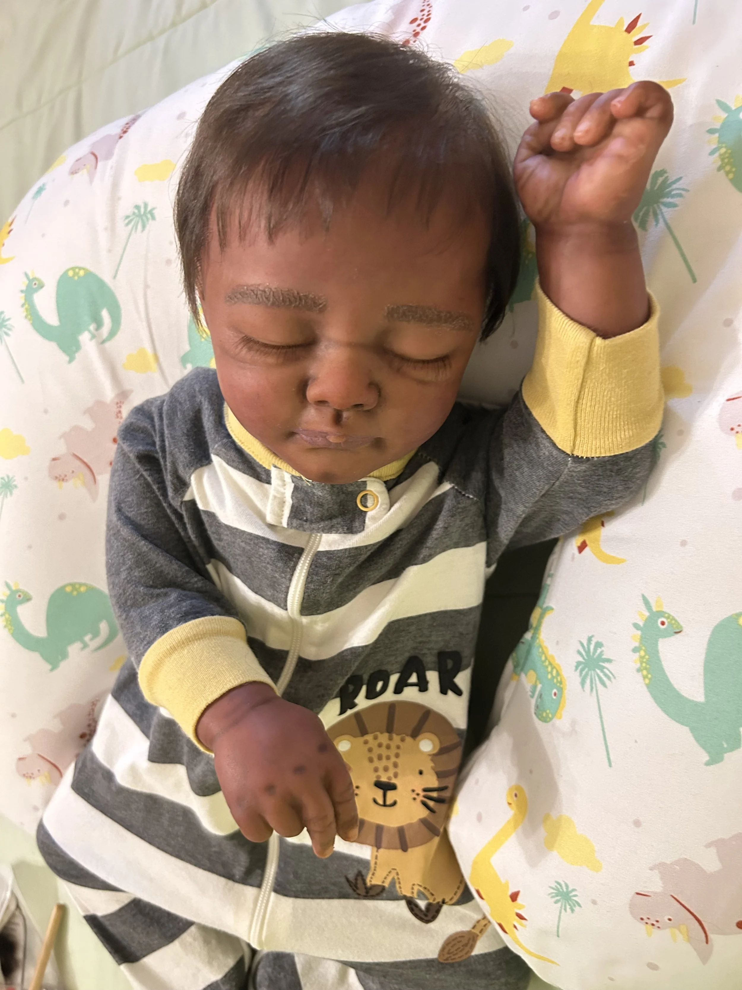 Reborn Art Doll Dakota