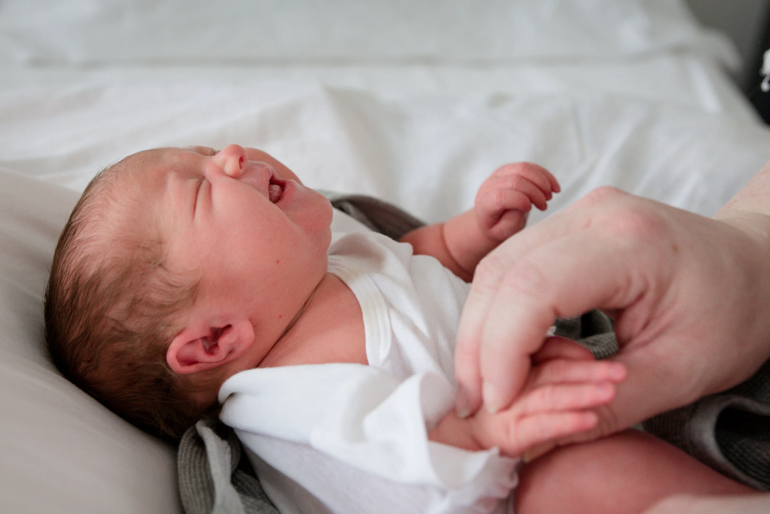 Margo 4 days old_5-8-2021-16.jpg